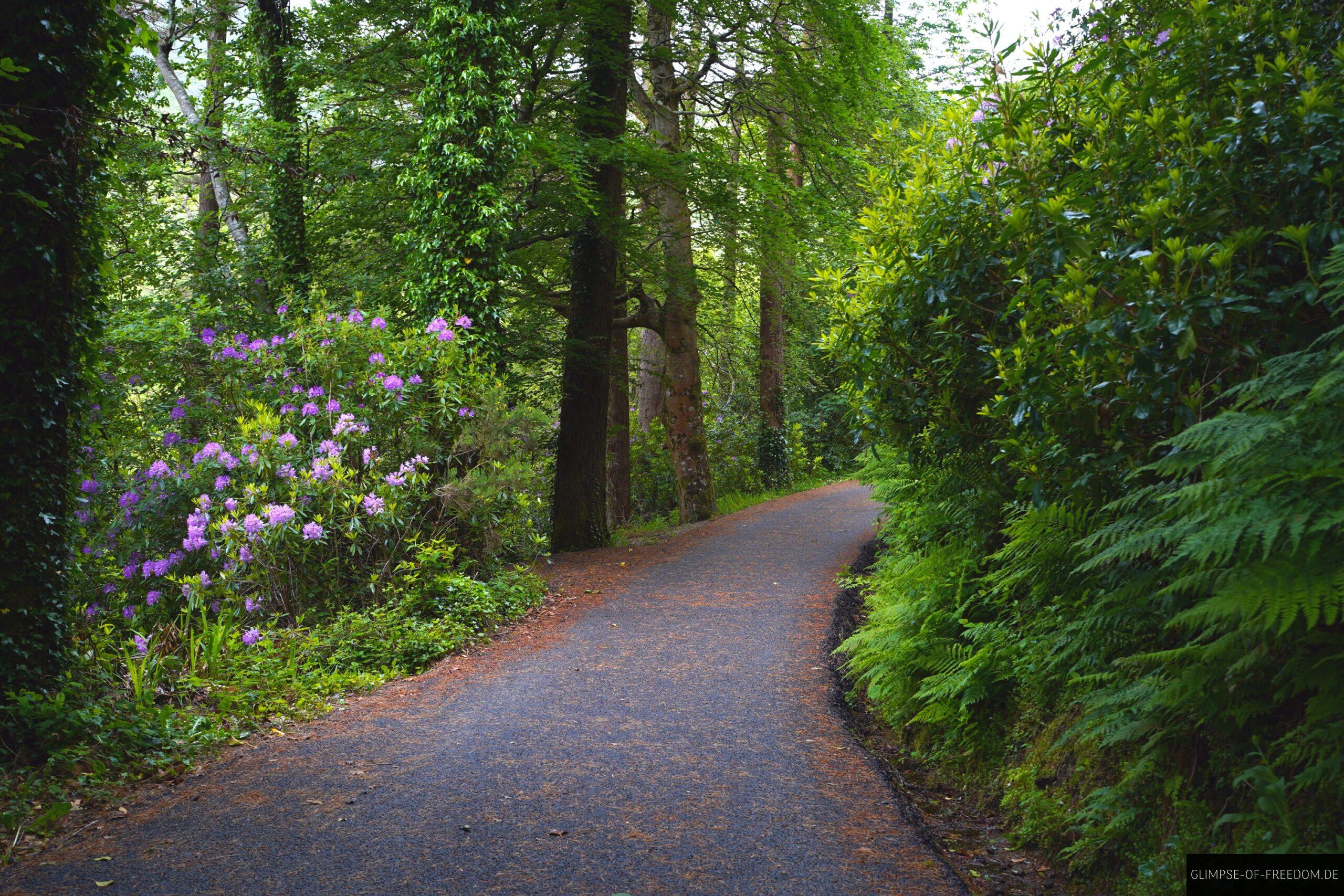 Aasleagh Falls Walkway scaled Aasleagh Falls Walkway