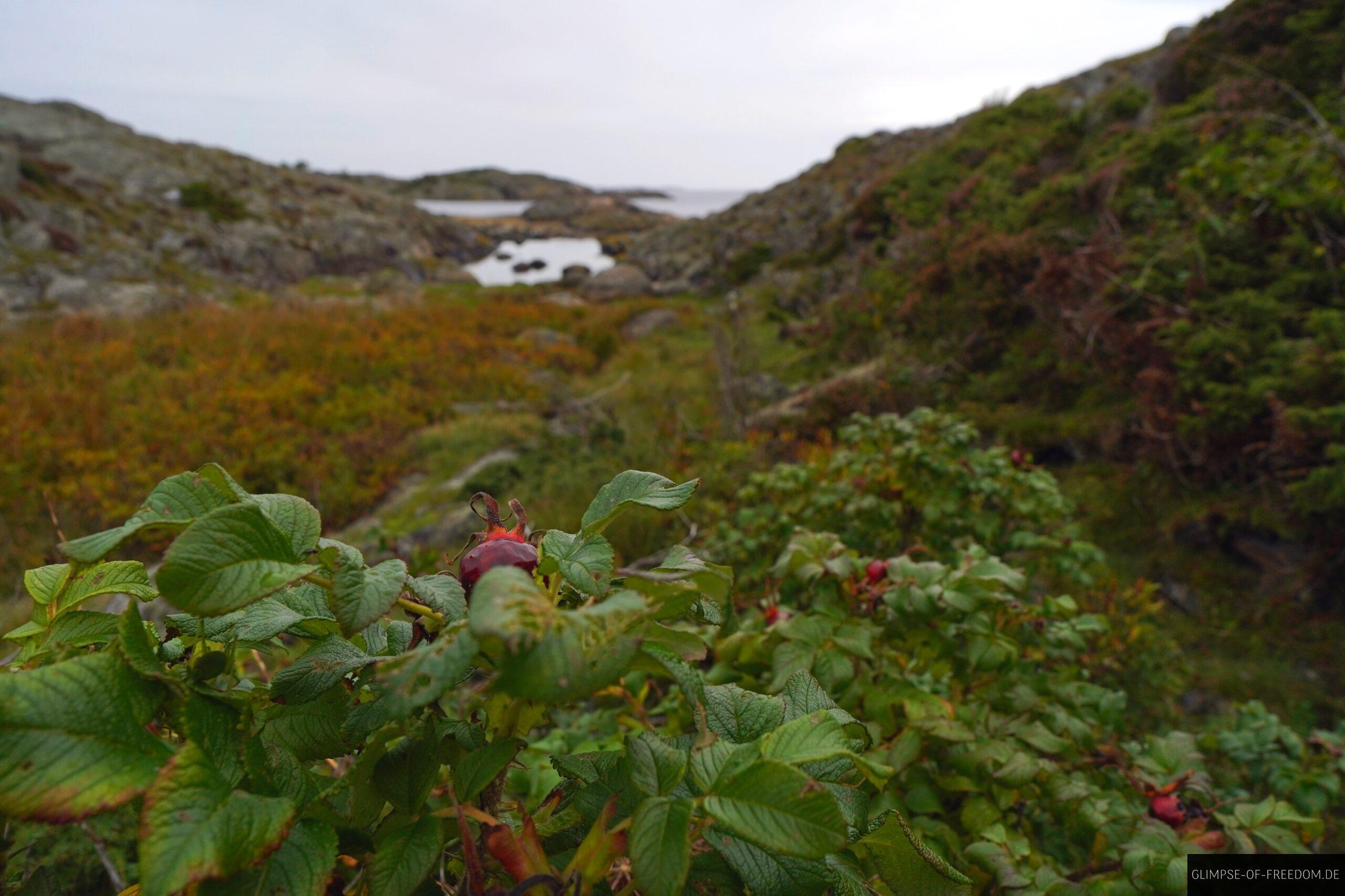 Abwechslungsreiche Landschaft scaled Abwechslungsreiche Landschaft