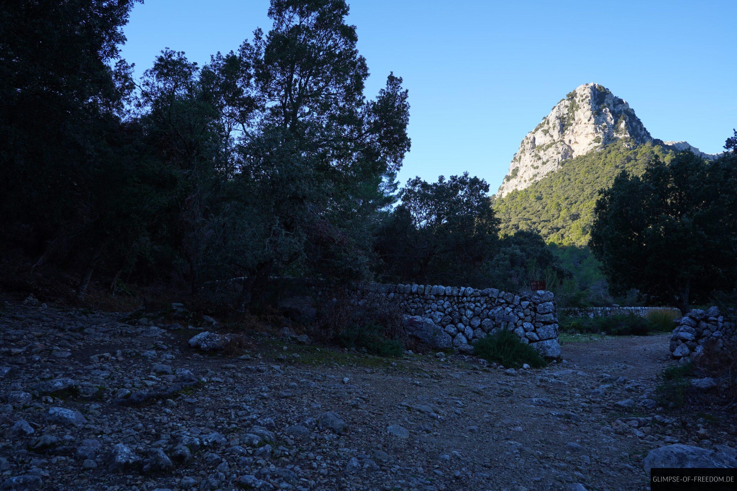 Abzweigung auf der Massanella Rundwanderung scaled Abzweigung auf der Massanella Rundwanderung