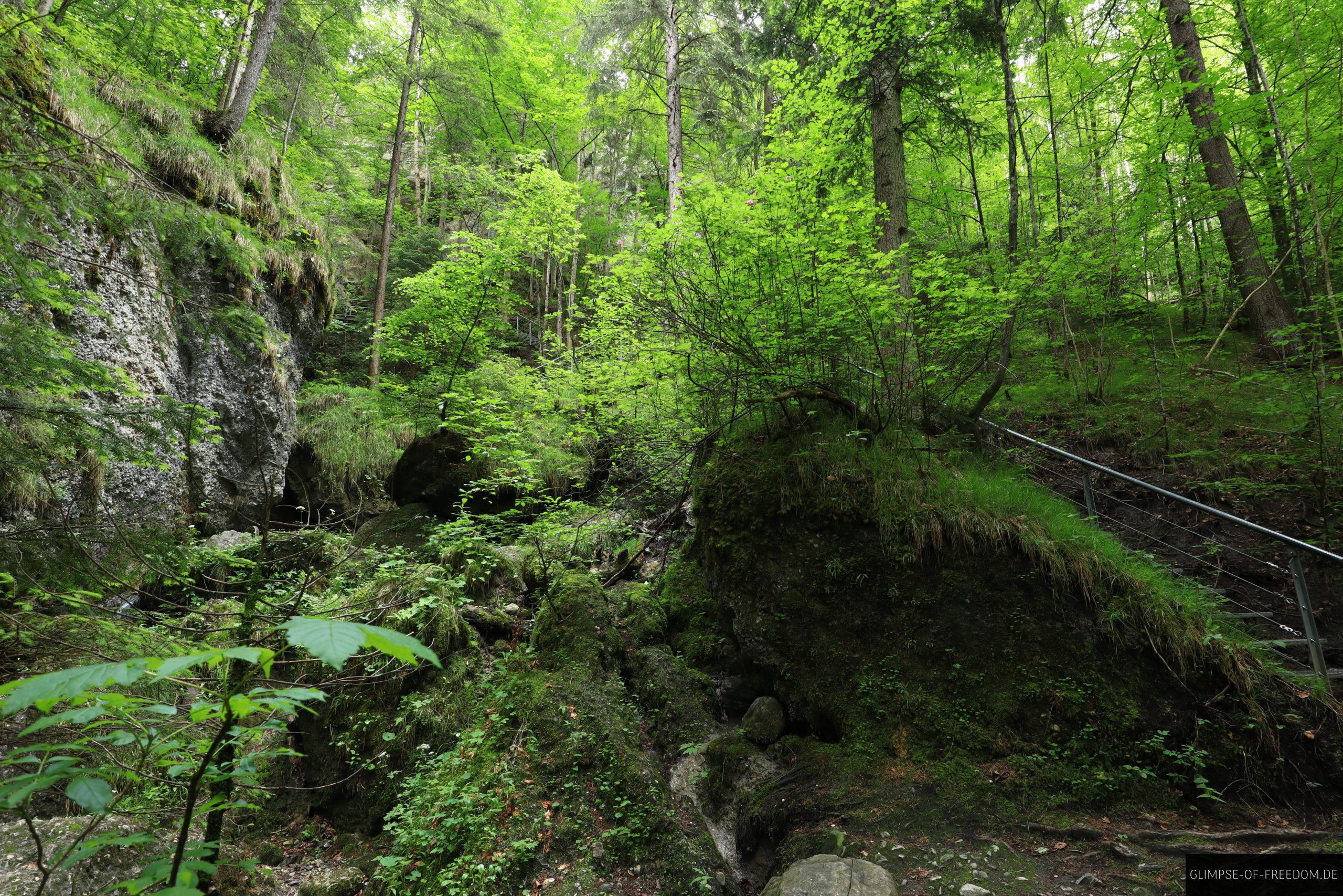 Am Anfang der Hinanger Wasserfaelle scaled Am Anfang der Hinanger Wasserfälle
