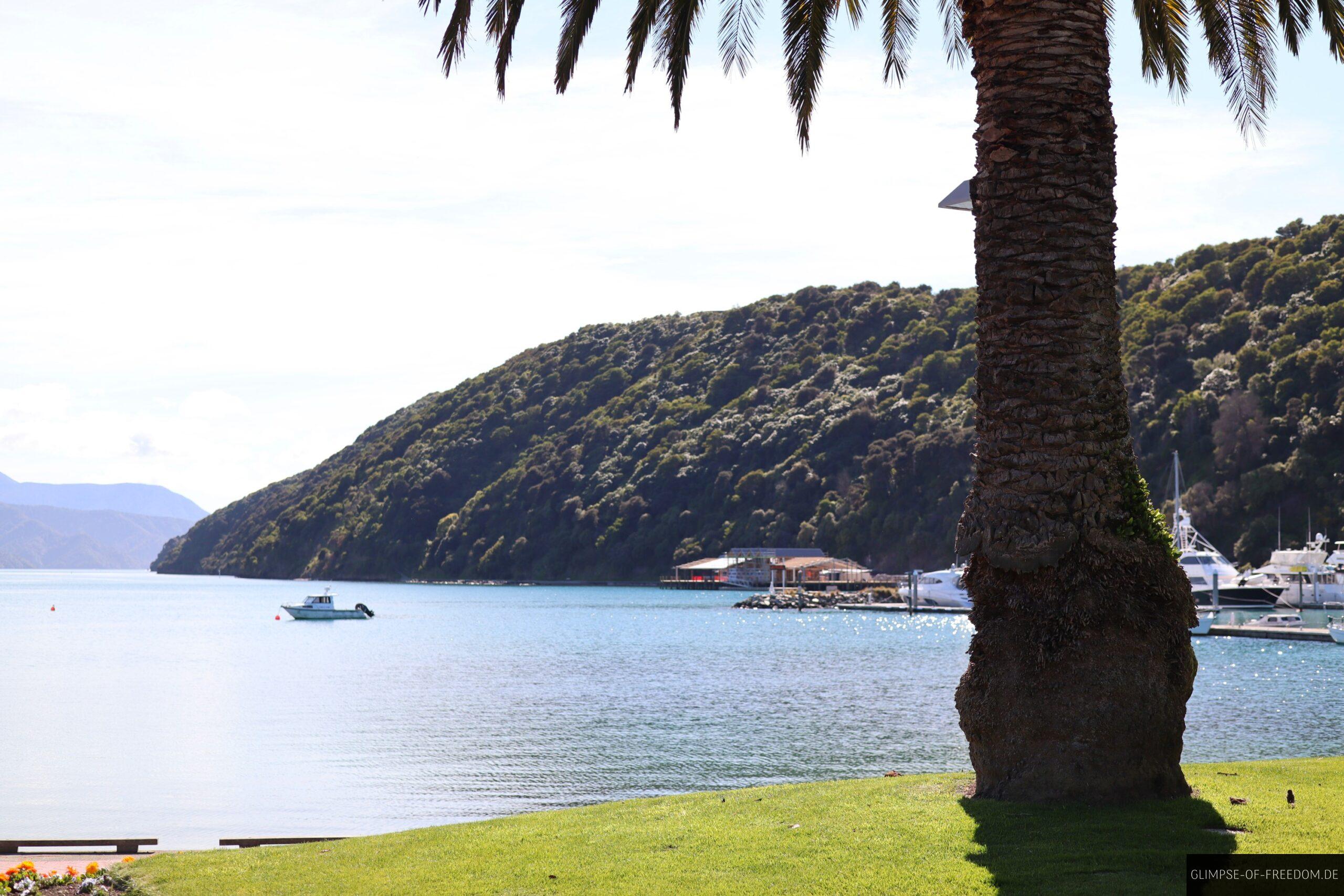 Am Meer bei Picton scaled Am Meer bei Picton