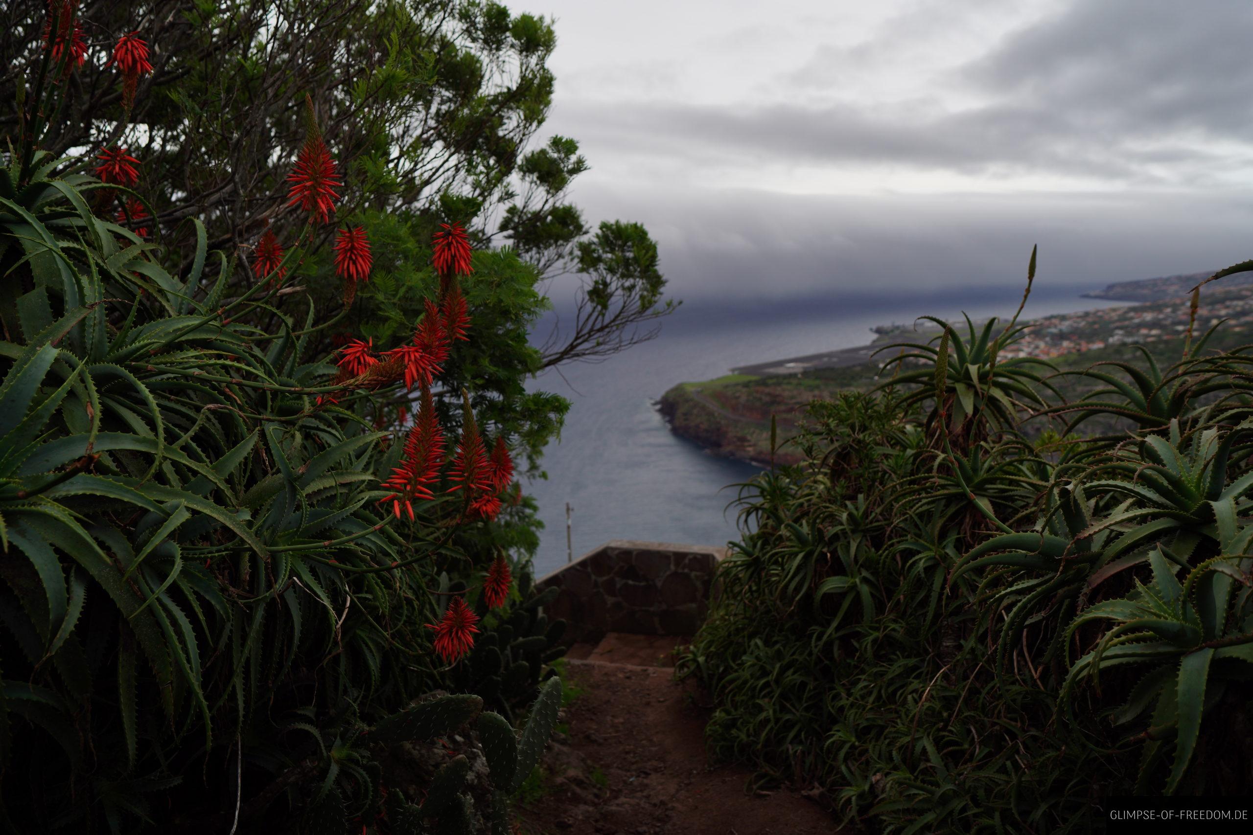 Am Miradouro do Pico do Facho scaled Am Miradouro do Pico do Facho