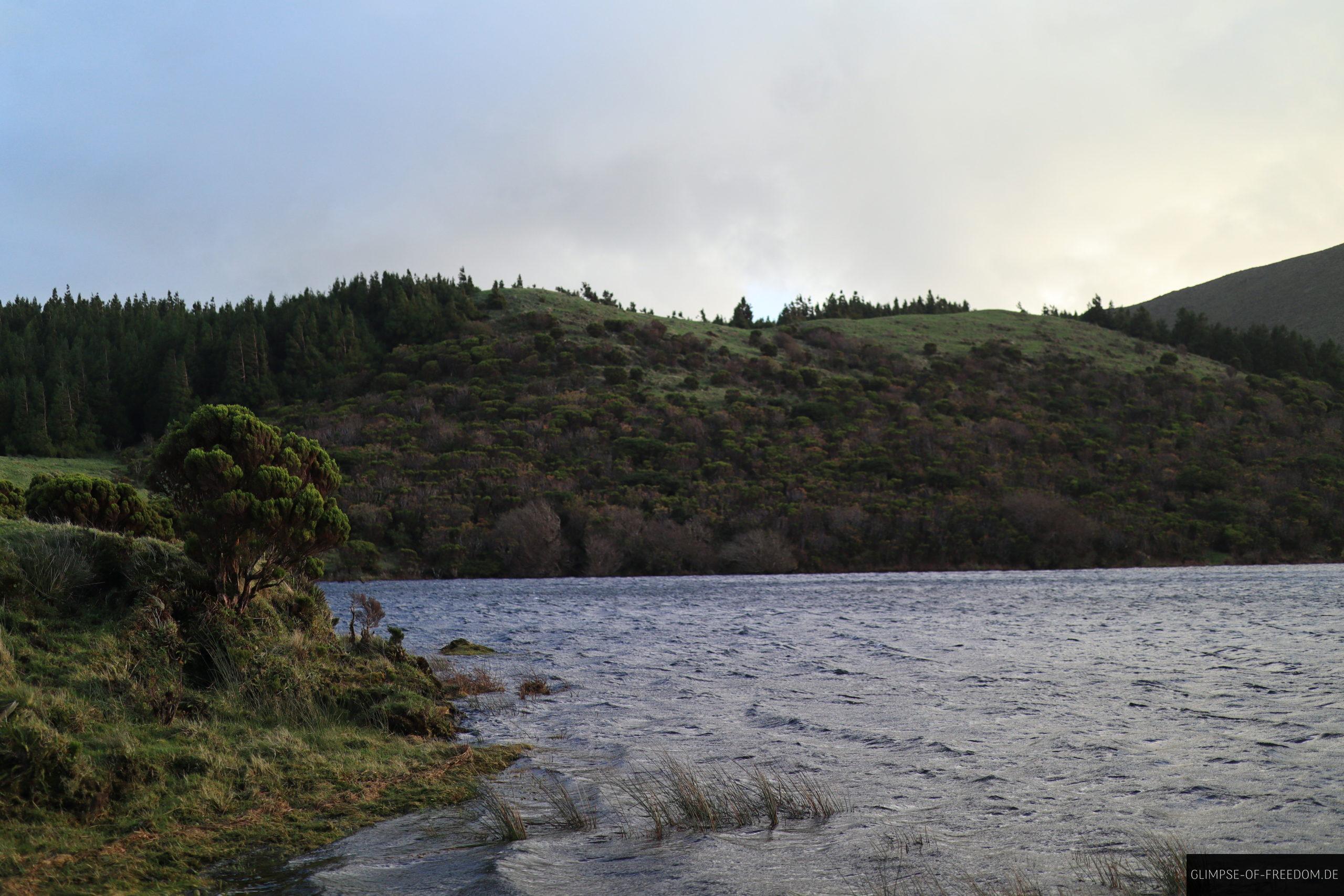 Am Ufer des Sees Lagoa do Caiado scaled Am Ufer des Sees Lagoa do Caiado