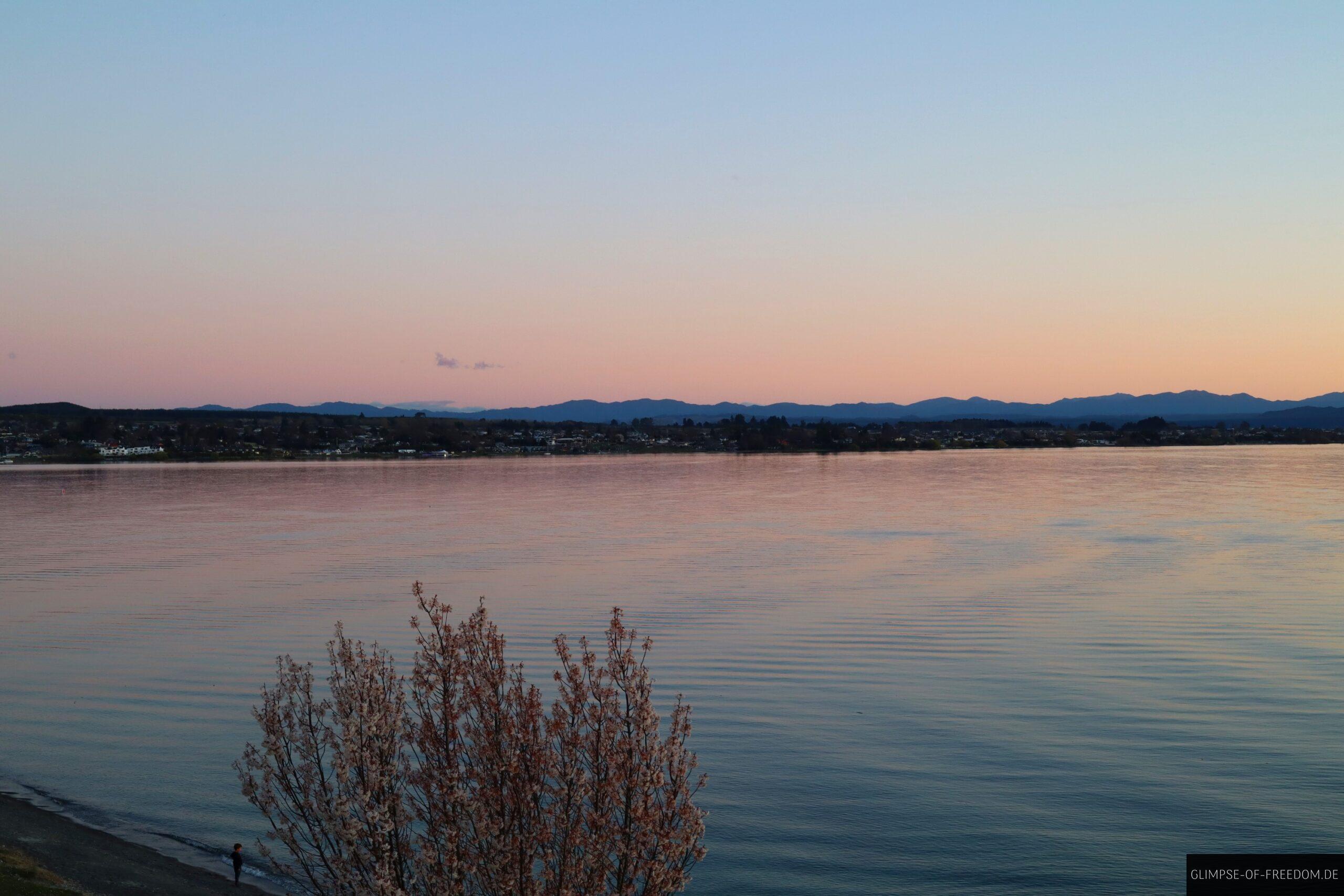 Am Ufer des des Lake Taupo scaled Am Ufer des des Lake Taupo