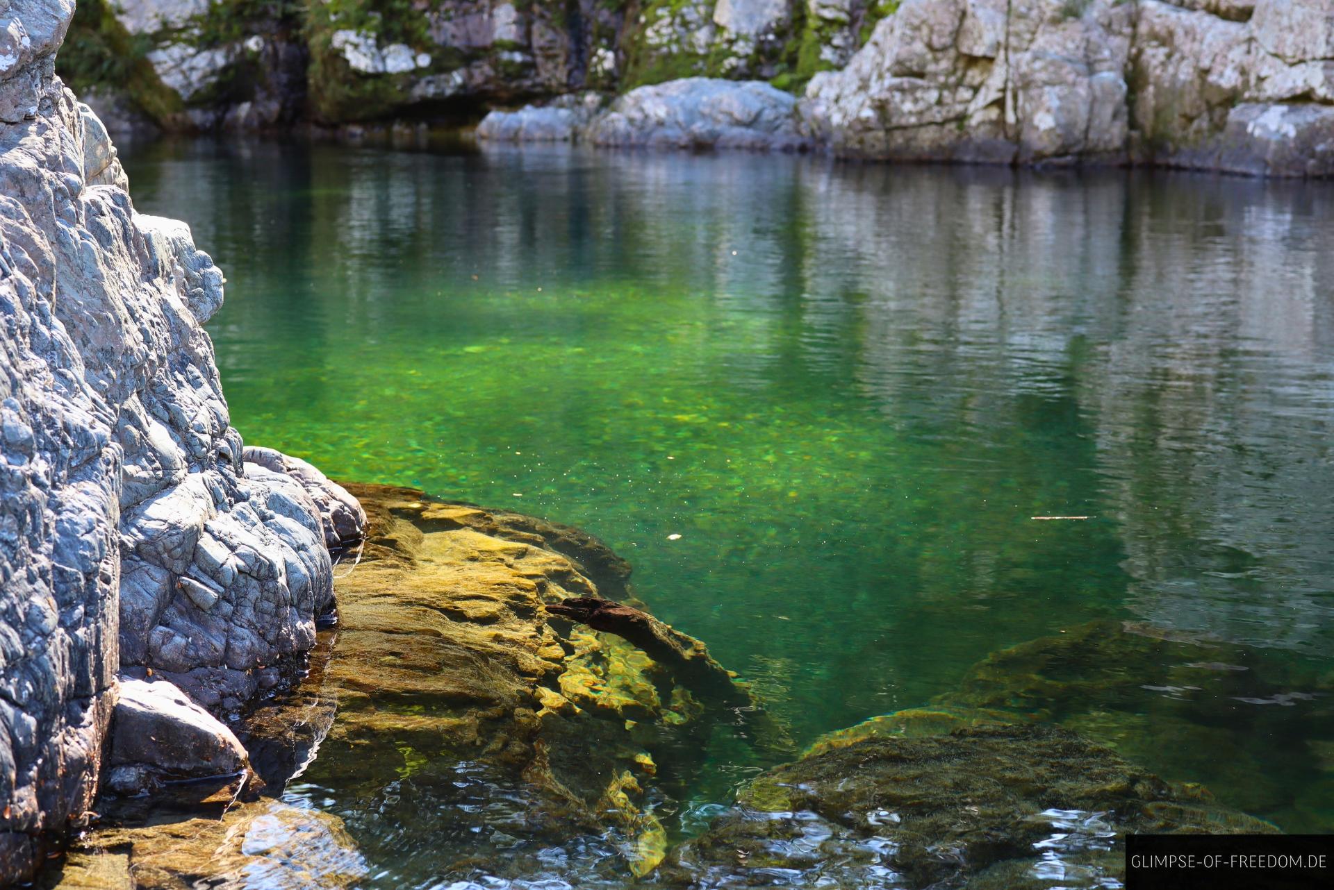 Am felsigen Ufer des Pelorus Rivers Am felsigen Ufer des Pelorus Rivers