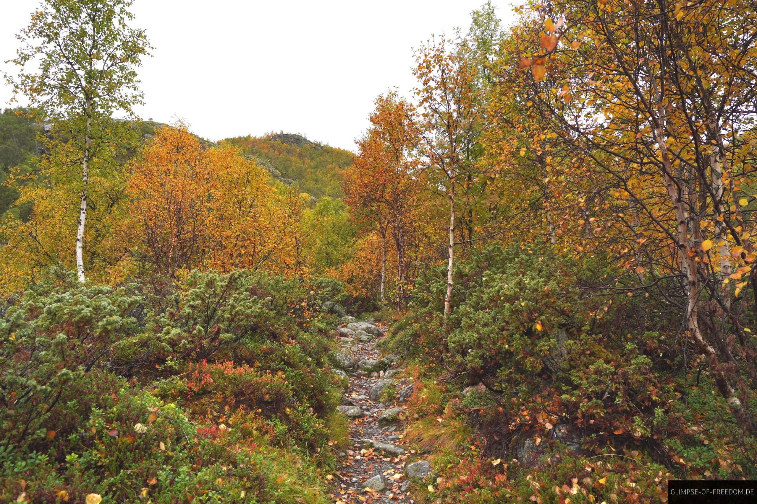 Anfaenglicher Pfad der Aurlandsdalen Tour Anfänglicher Pfad der Aurlandsdalen Tour