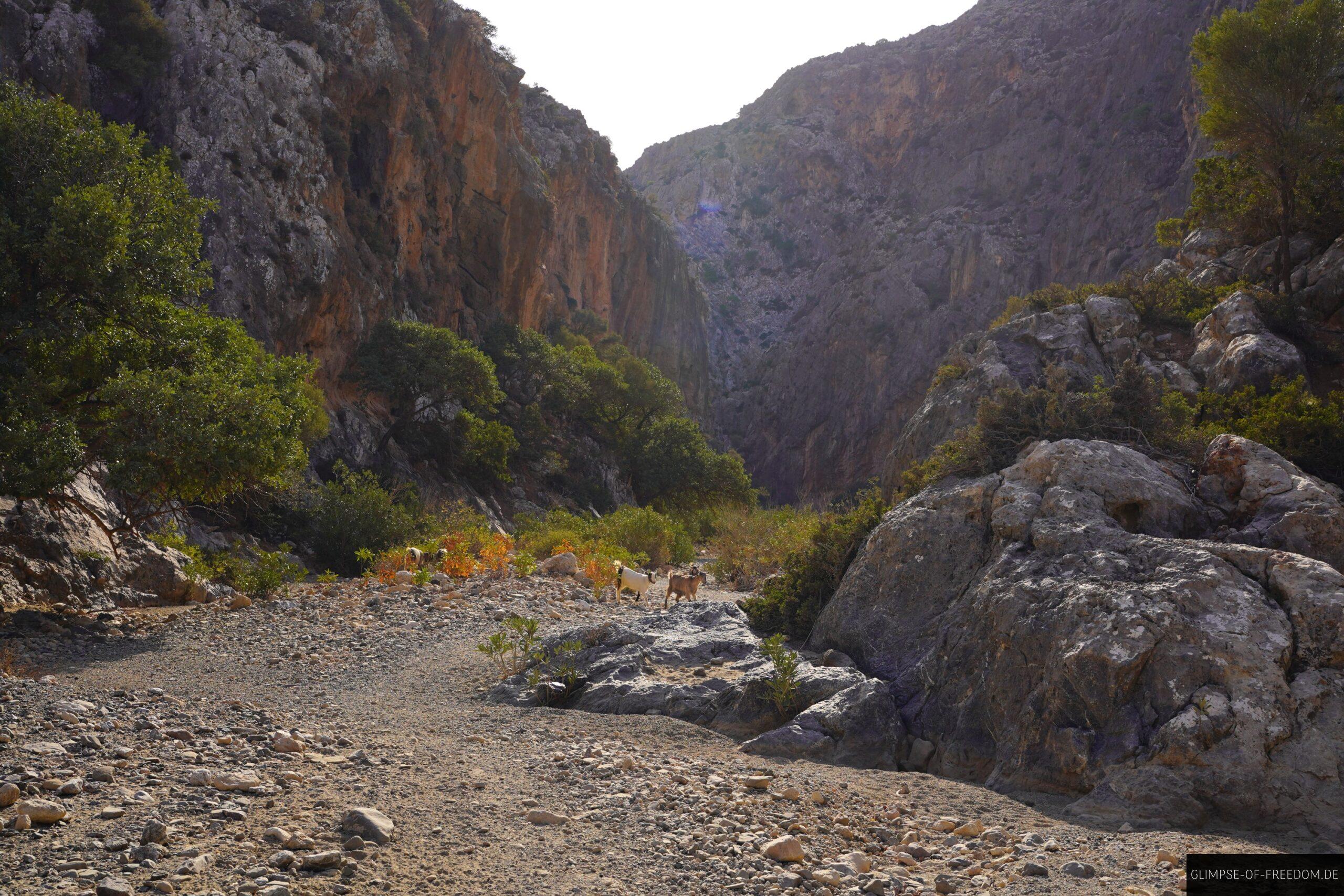 Anfang der Agiofarago Wanderung scaled Anfang der Agiofarago Wanderung