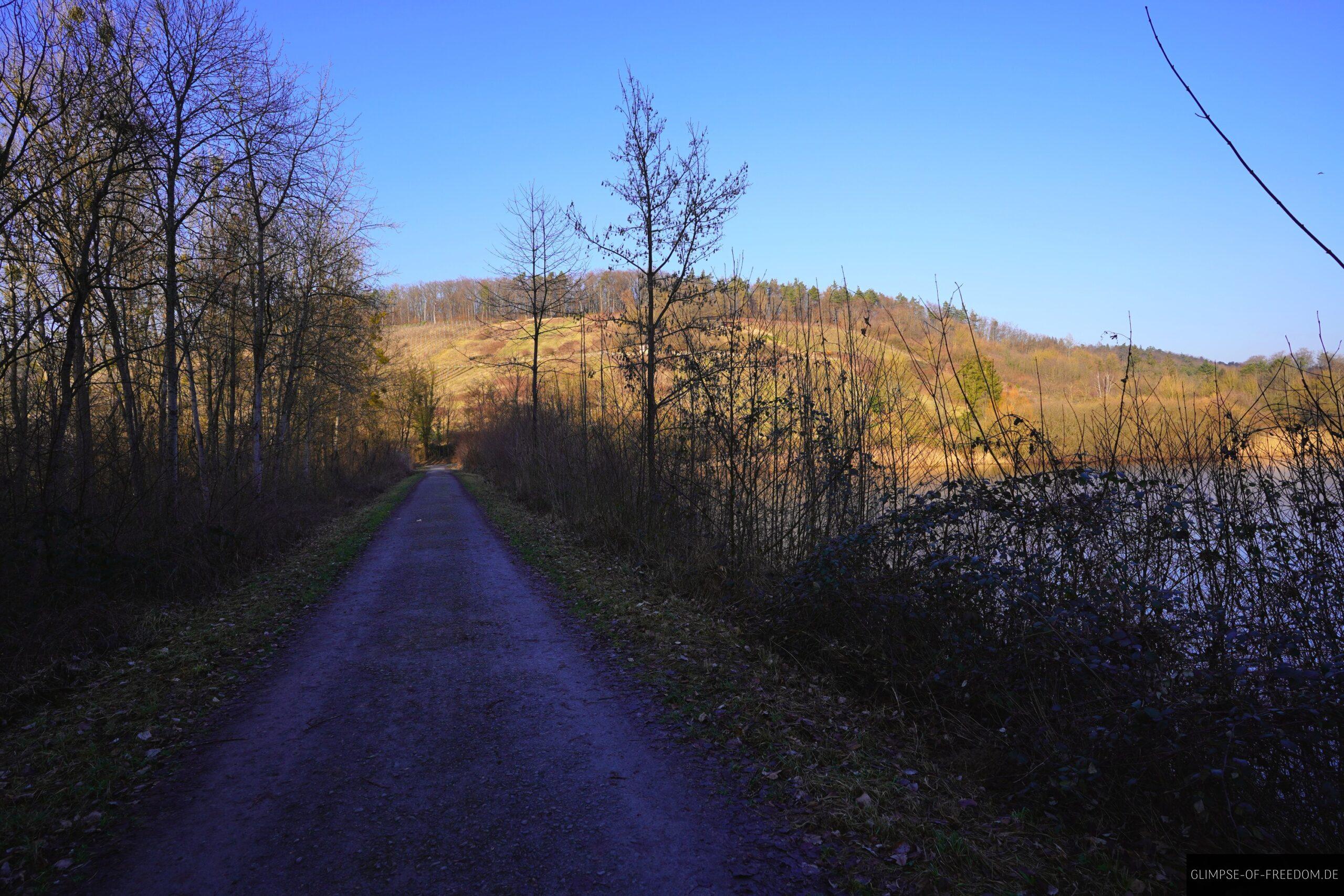 Ankunft am Bernhardsweiher scaled Ankunft am Bernhardsweiher