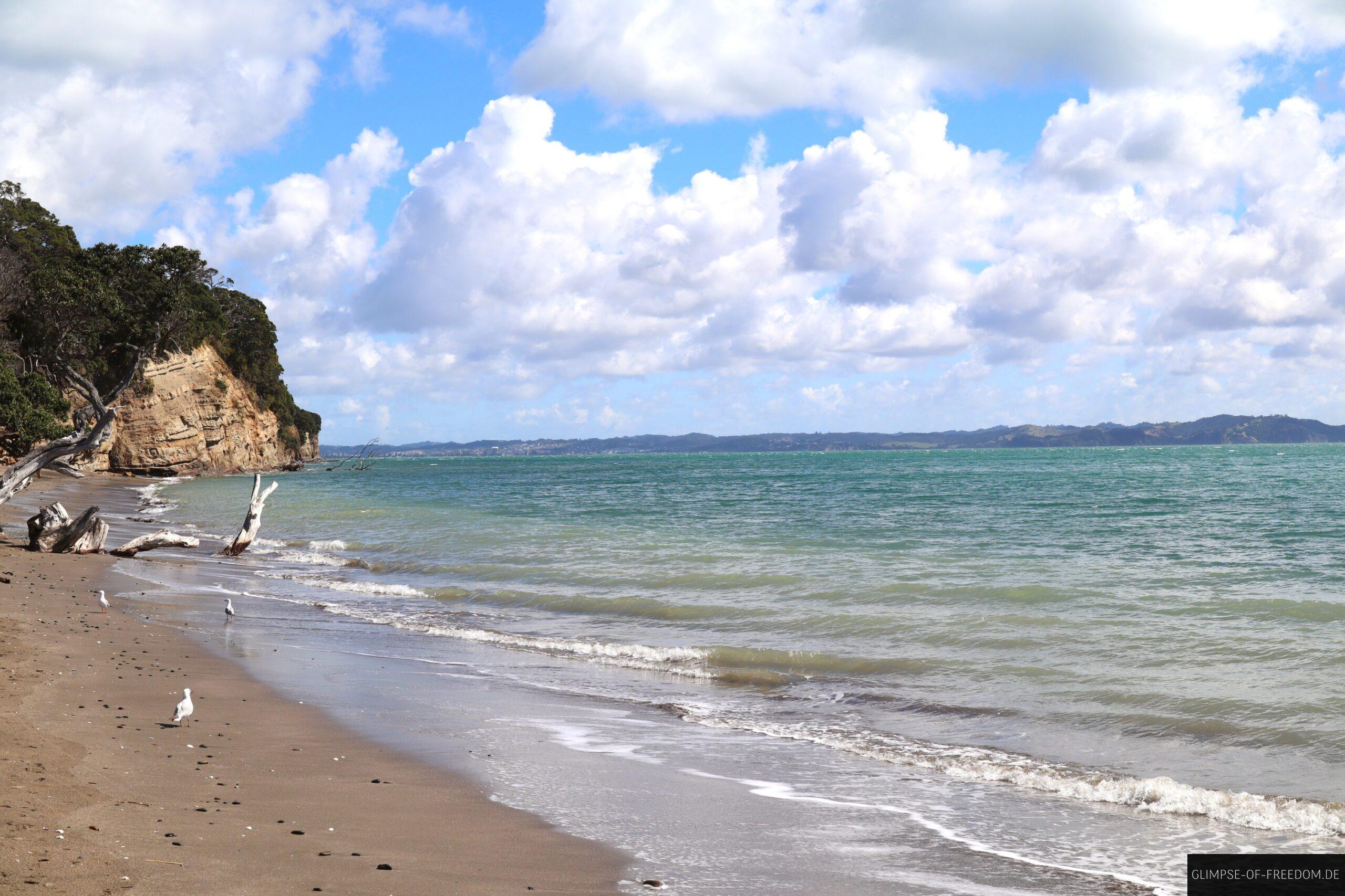 Army Bay Beach Neuseeland Shakespeare Regional Park scaled Army Bay Beach Neuseeland Shakespeare Regional Park