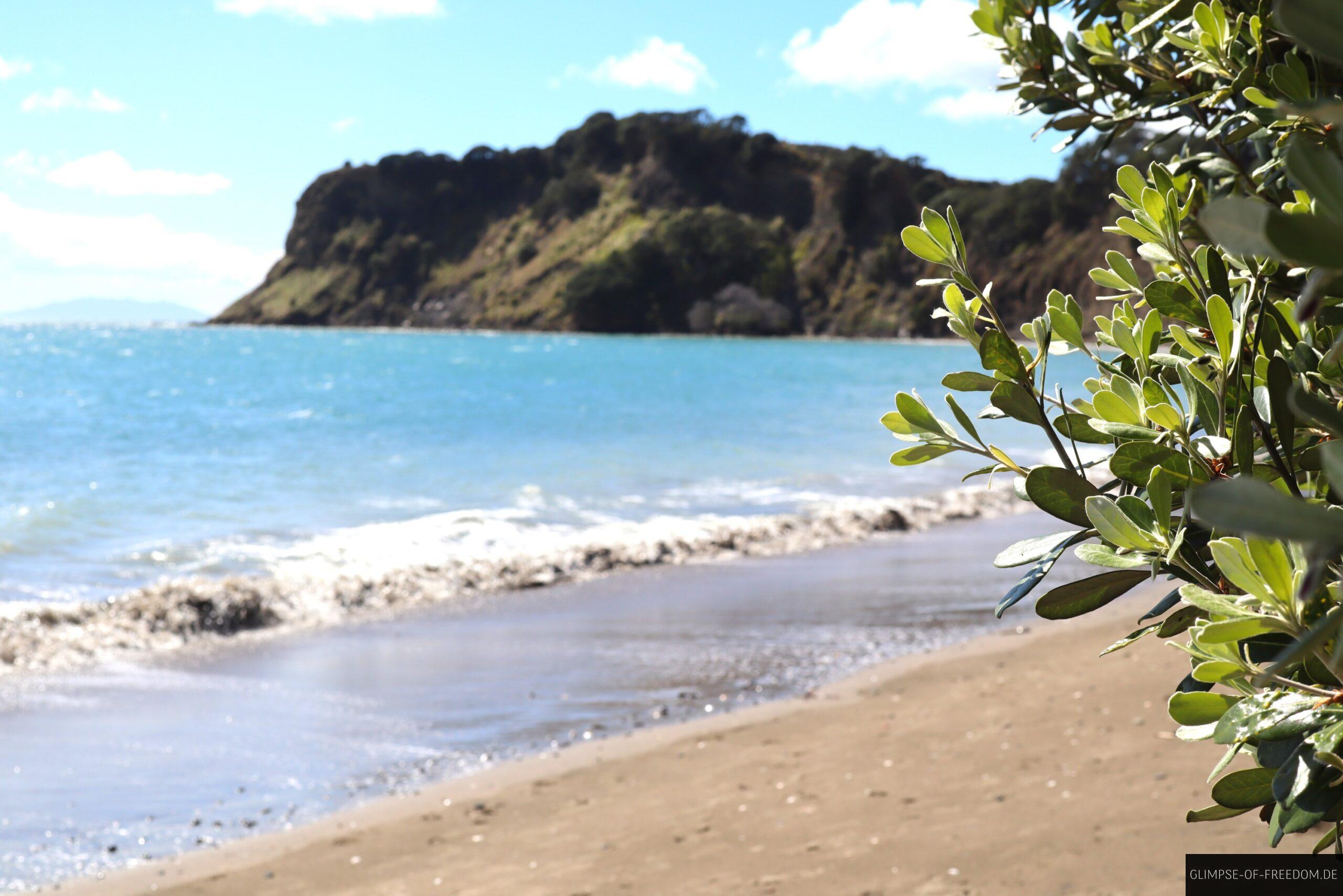 Army Bay scaled Army Bay