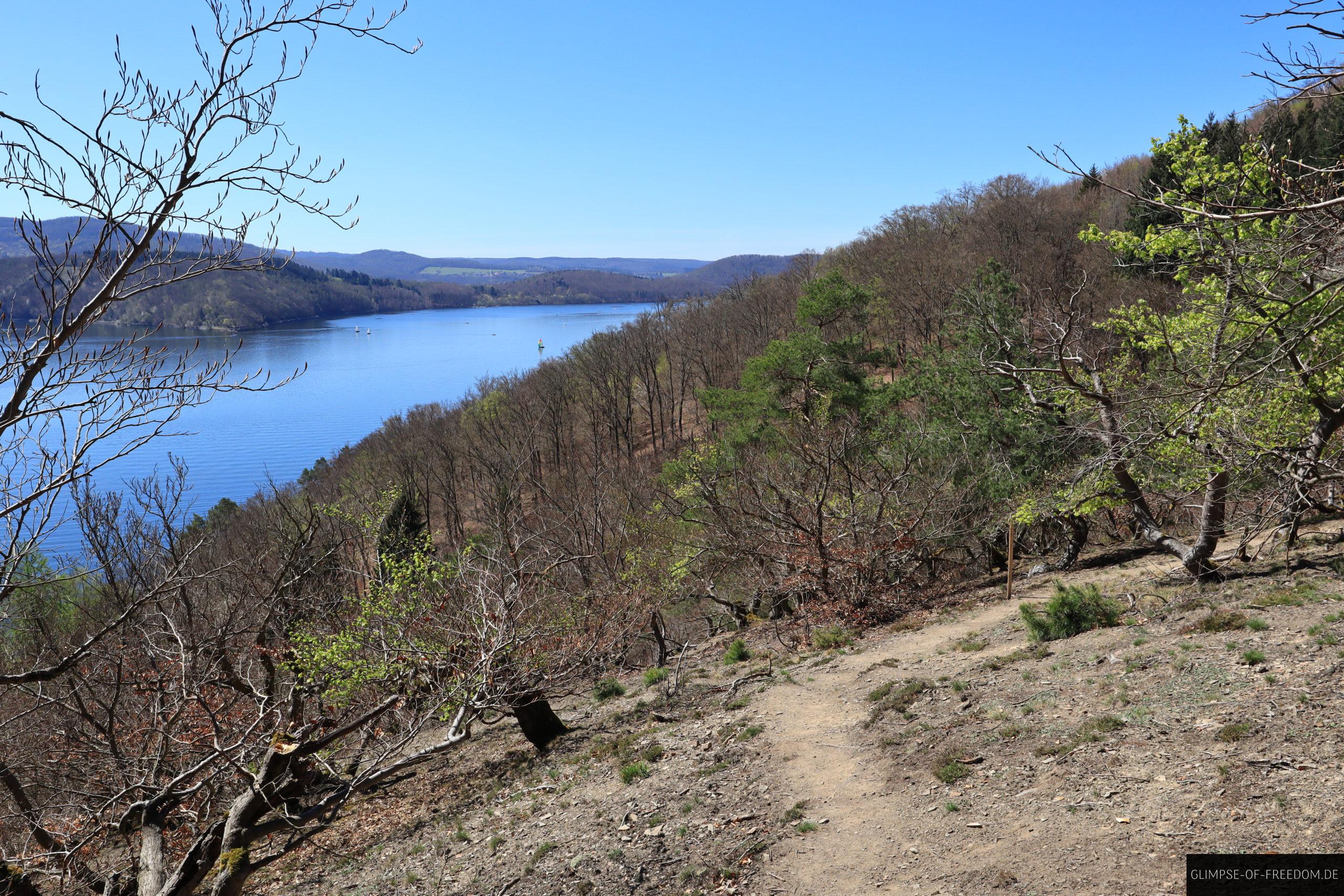 Atemberaubende Vegetation beim Edersee wandern scaled Atemberaubende Vegetation beim Edersee wandern