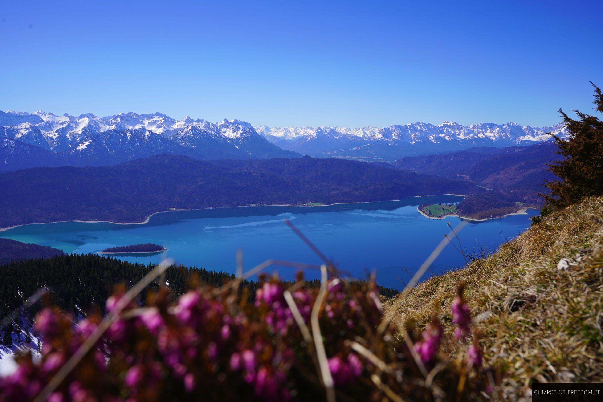 Atemberaubender Ausblick auf den Walchensee vom Jochberg Gipfel scaled Atemberaubender Ausblick auf den Walchensee vom Jochberg Gipfel