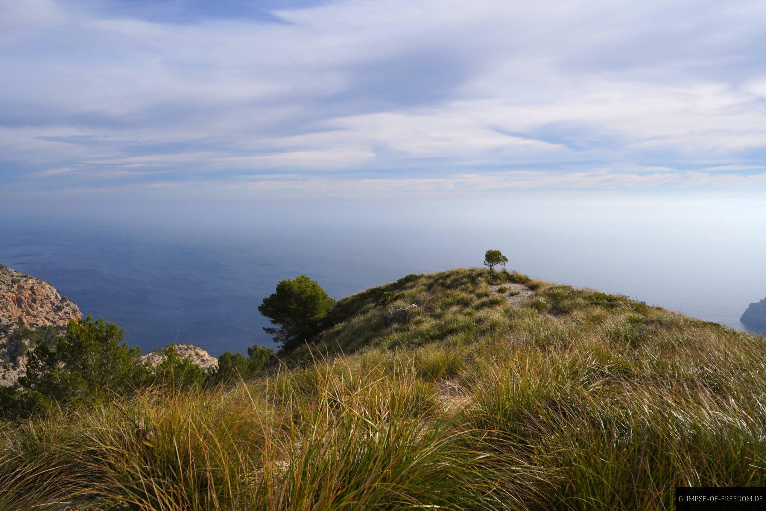 Auf dem Talaia Vella scaled Auf dem Talaia Vella