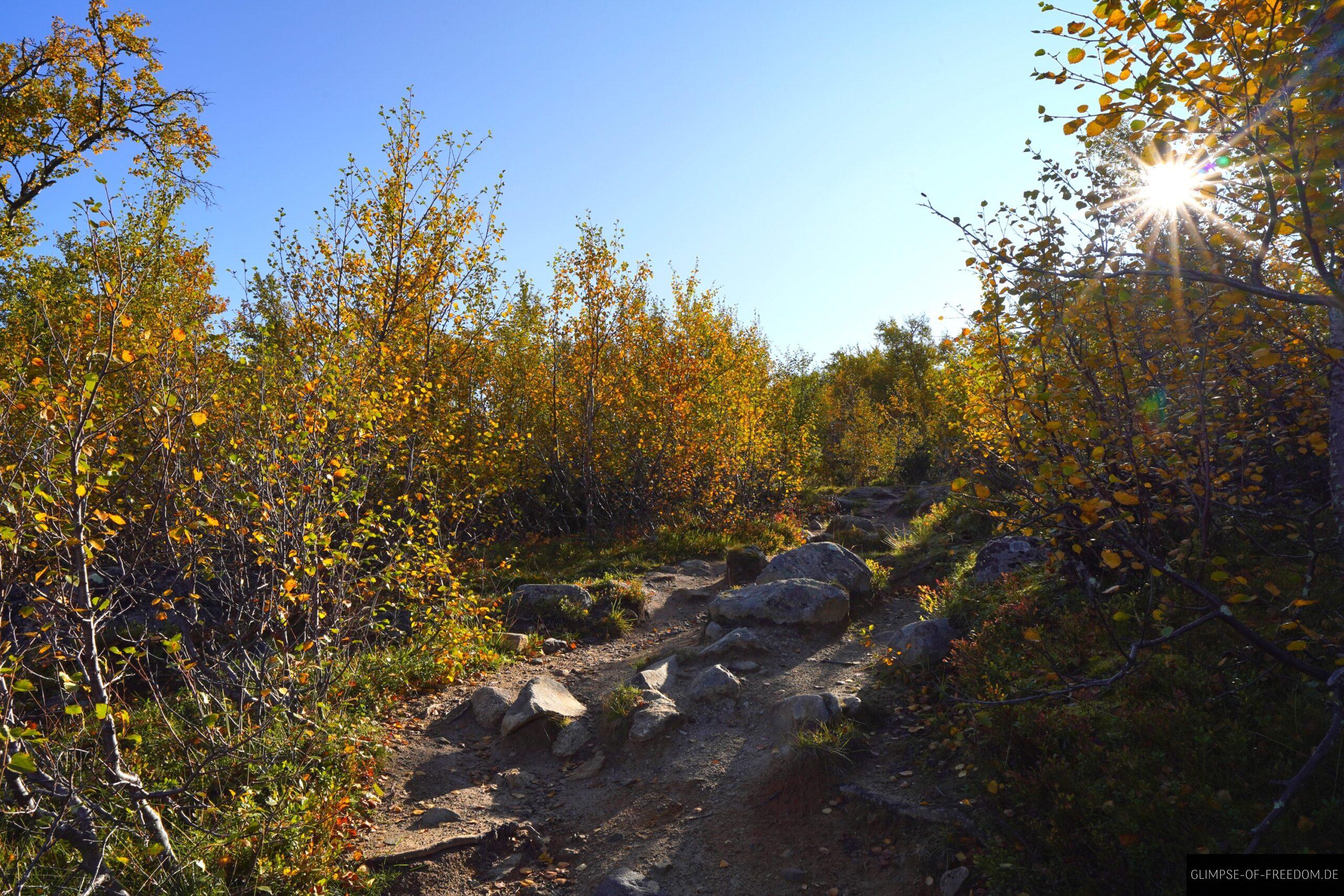 Aufstieg vom Ustevatn scaled Aufstieg vom Ustevatn