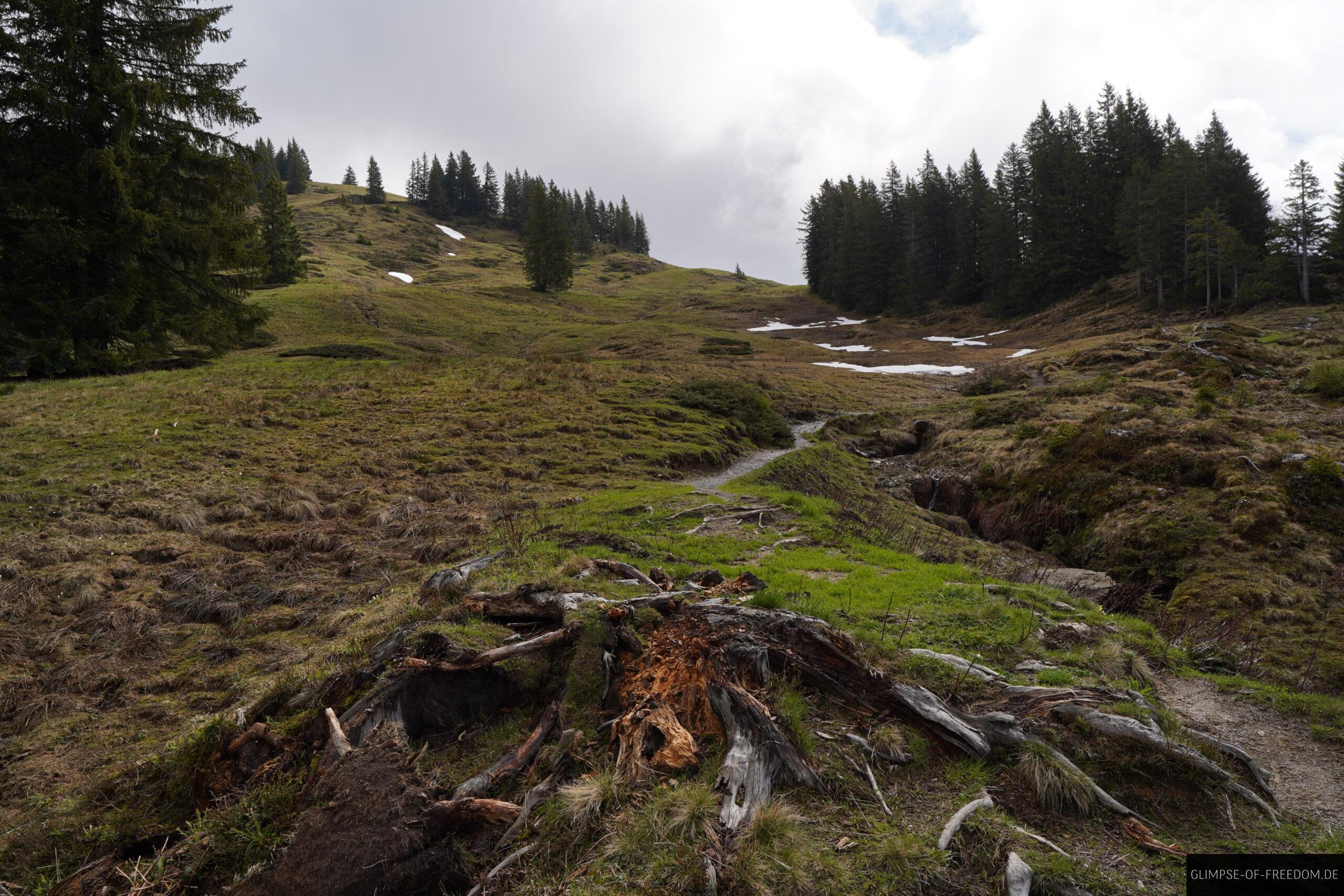 Aufstieg zum Bolgen scaled Aufstieg zum Bolgen