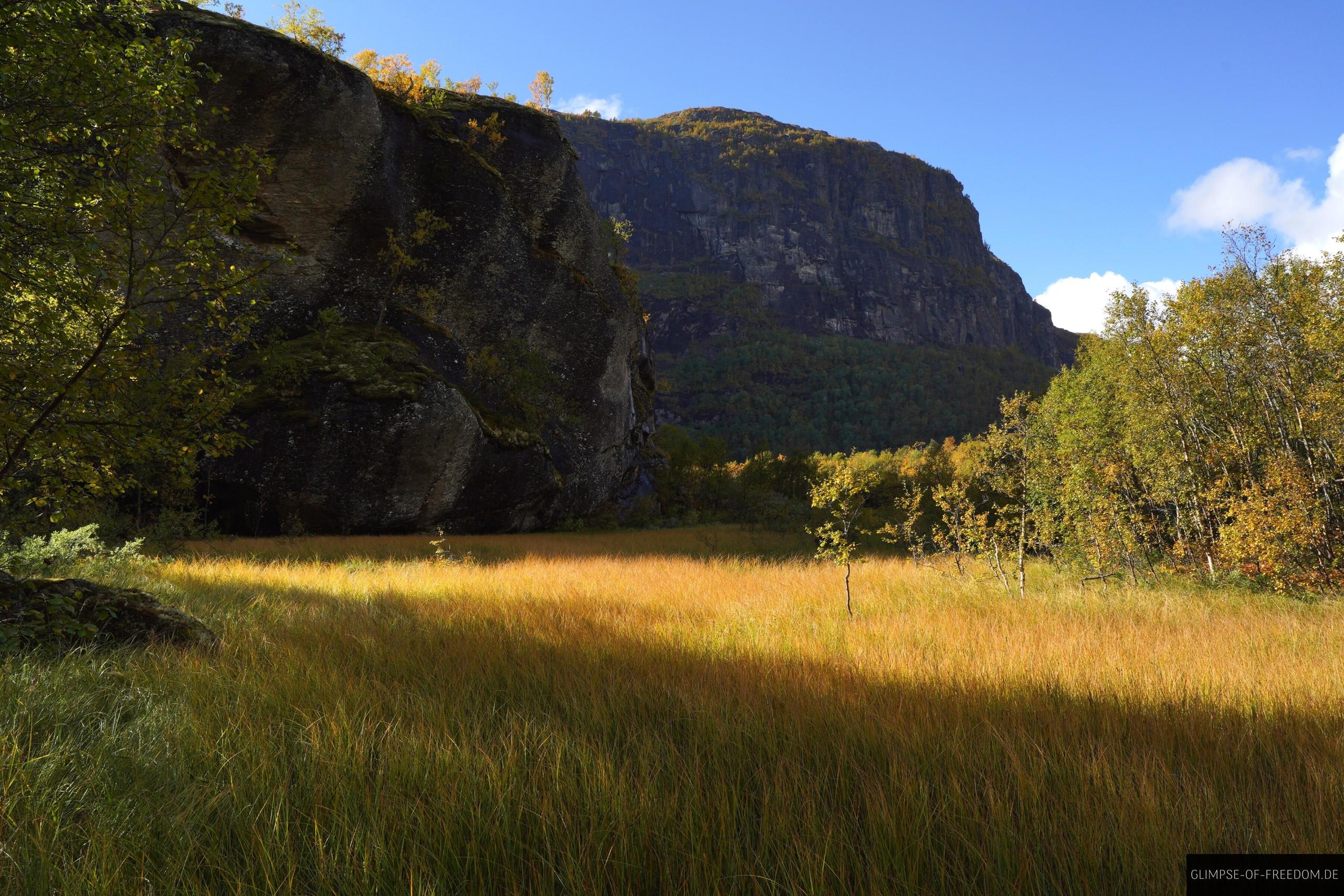 Aurlandsdalen Graslandschaft Aurlandsdalen Graslandschaft