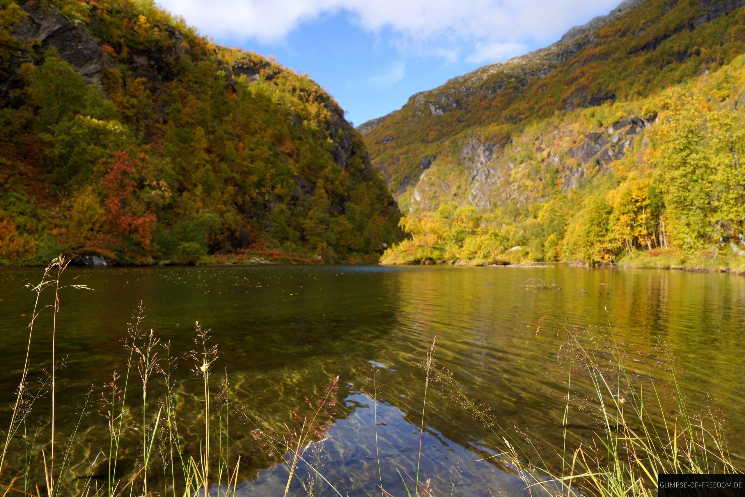 Aurlandselvi Aurlandselvi