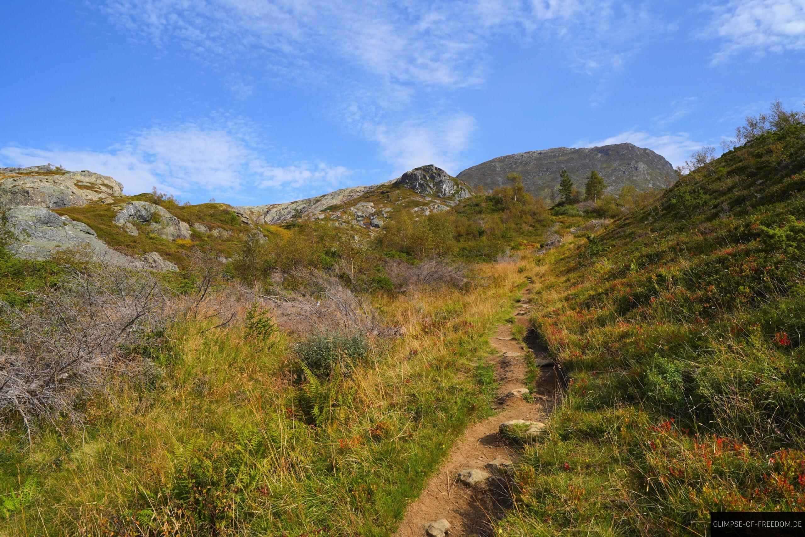 Aus dem Wald in die Berglandschaft scaled Aus dem Wald in die Berglandschaft