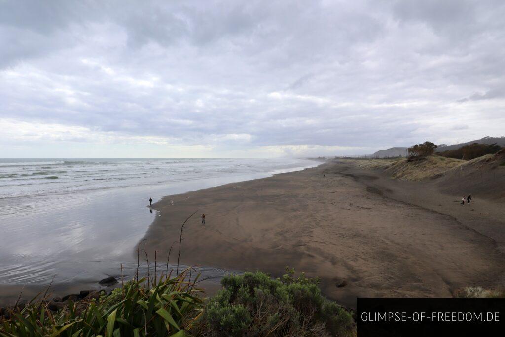 Ausblick auf den Muriwai Beach