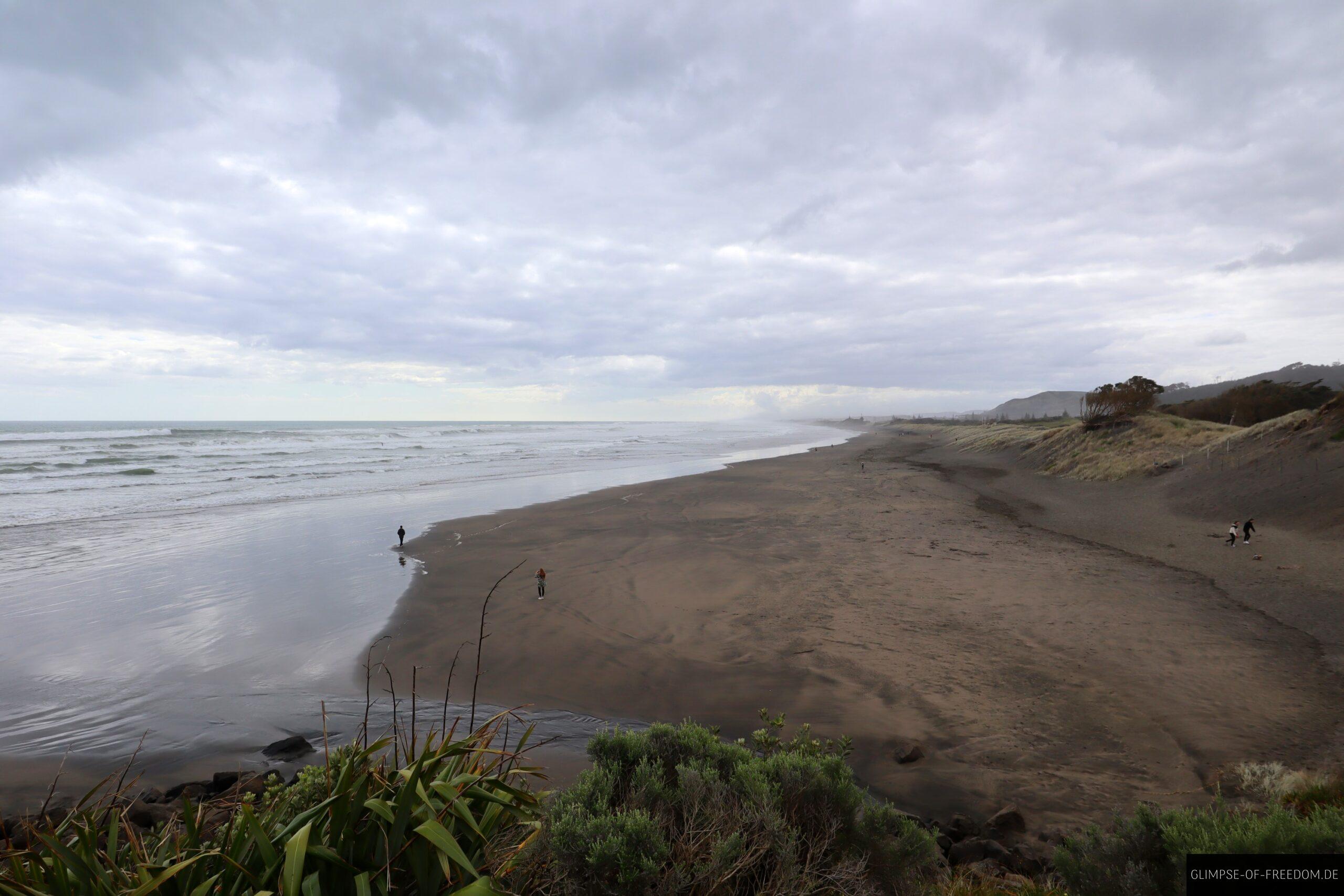 Ausblick auf den Muriwai Beach scaled Ausblick auf den Muriwai Beach