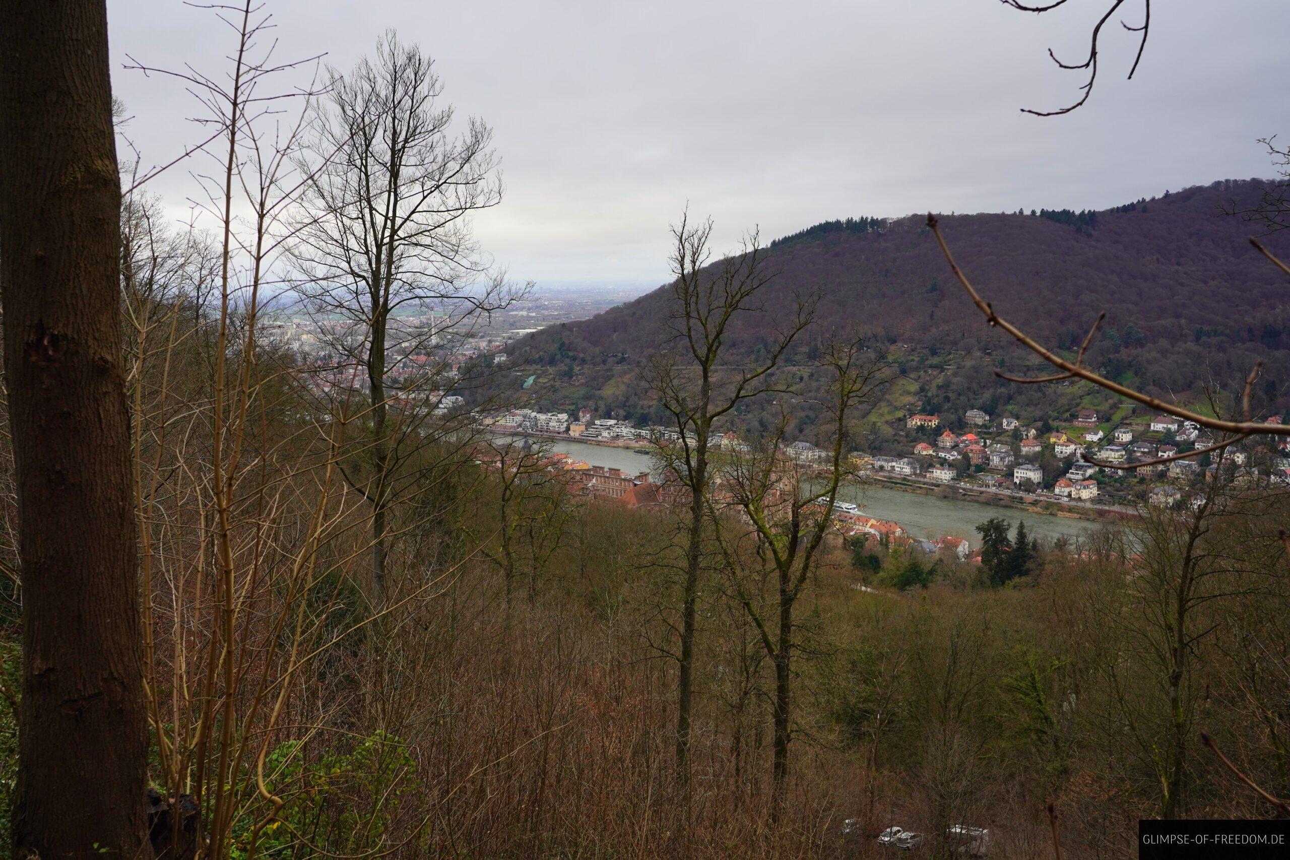 Ausblick auf den Neckar und Heidelberg scaled Ausblick auf den Neckar und Heidelberg