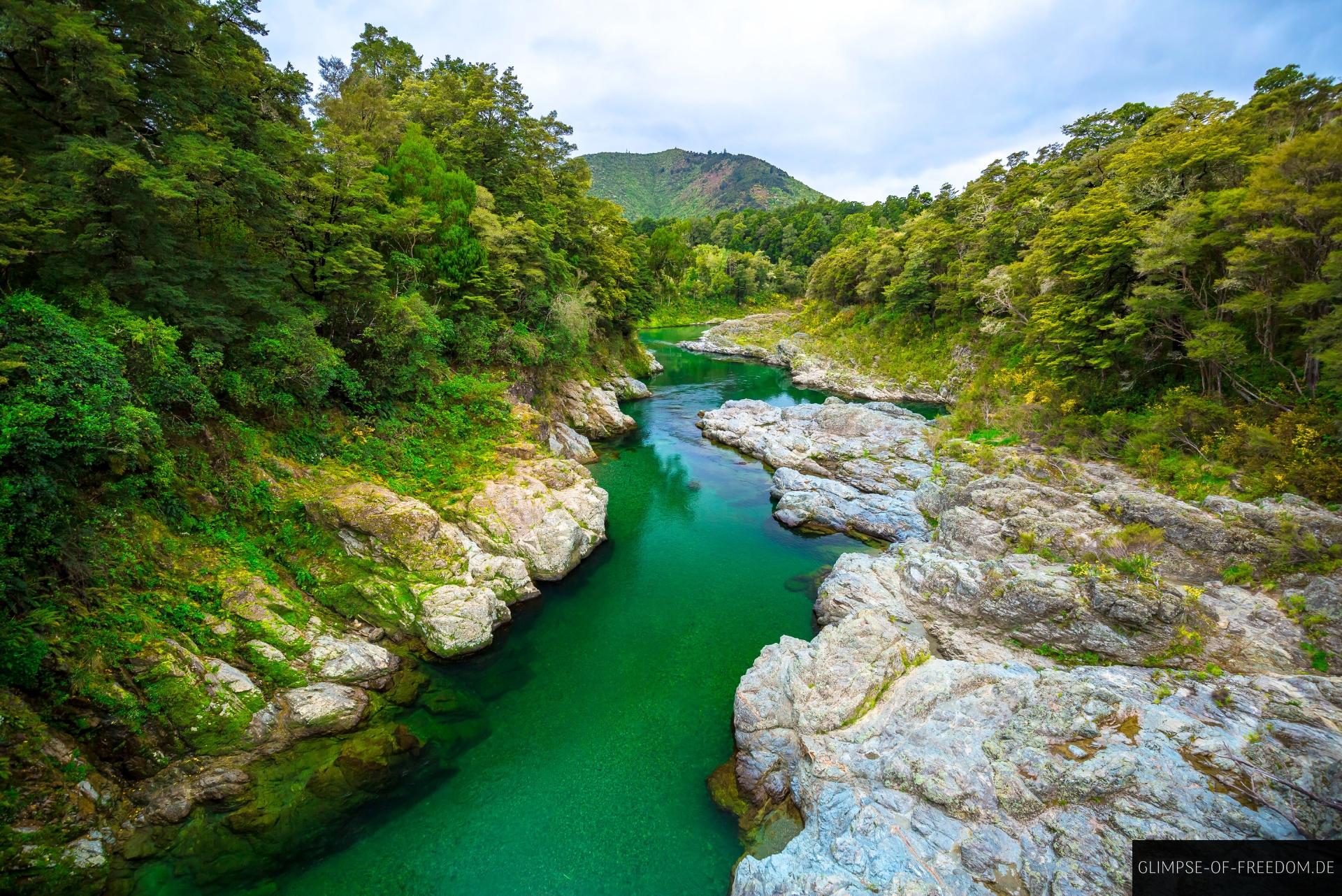 Ausblick auf den Pelorus River Ausblick auf den Pelorus River