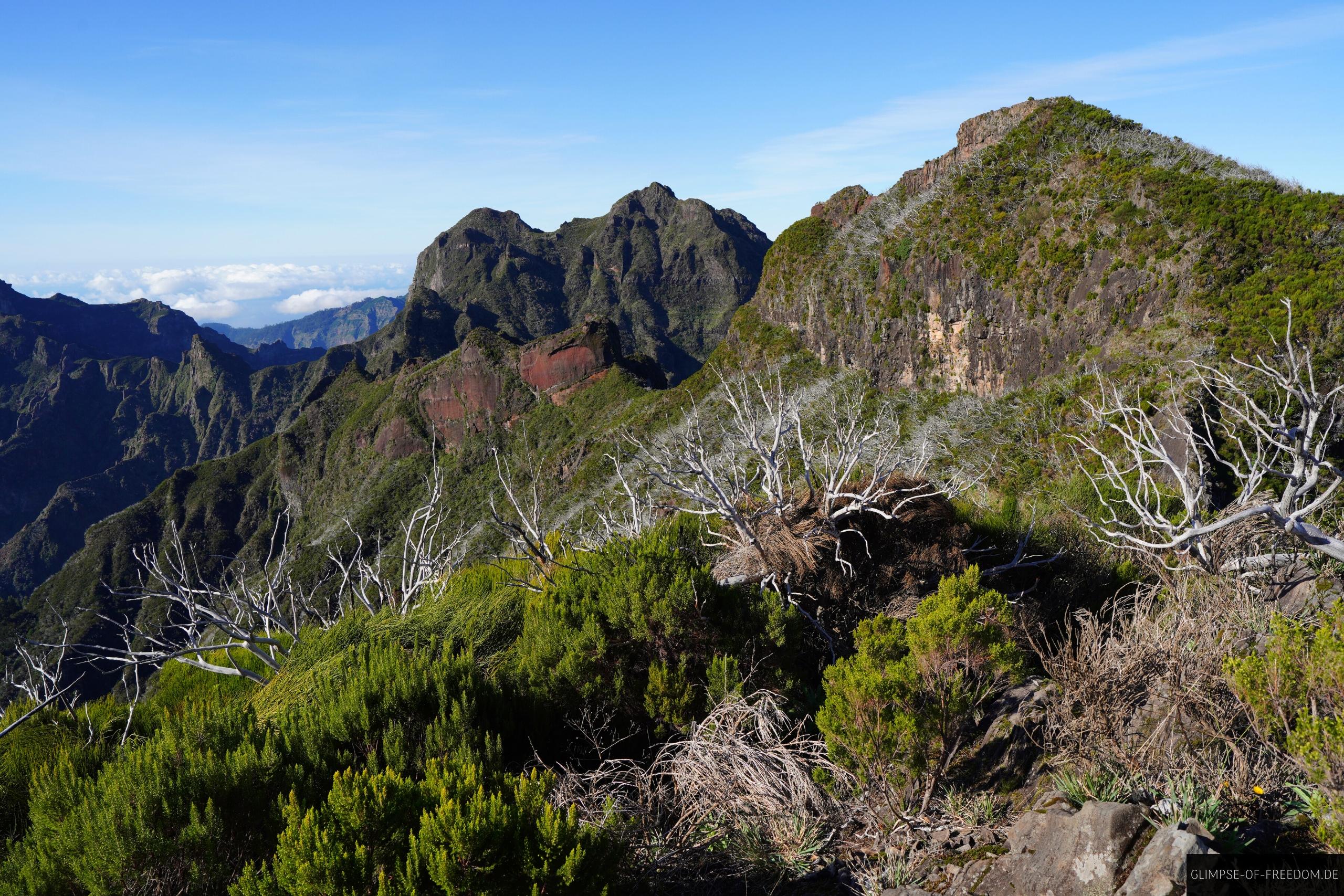Ausblick auf den Pico do Jorge in der Ferne Ausblick auf den Pico do Jorge in der Ferne