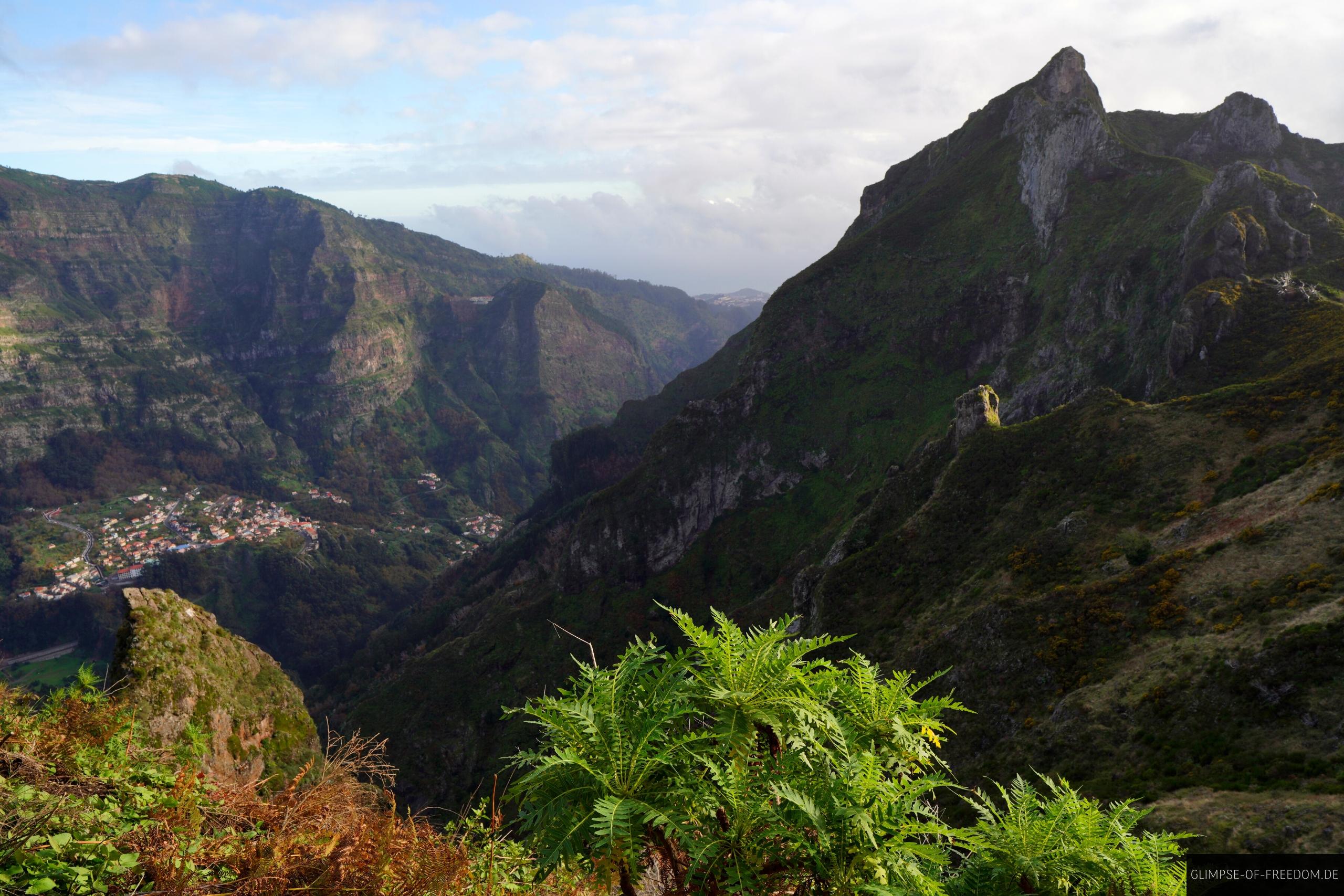 Ausblick ueber Pflanzen und Berge auf Madeira Ausblick über Pflanzen und Berge auf Madeira