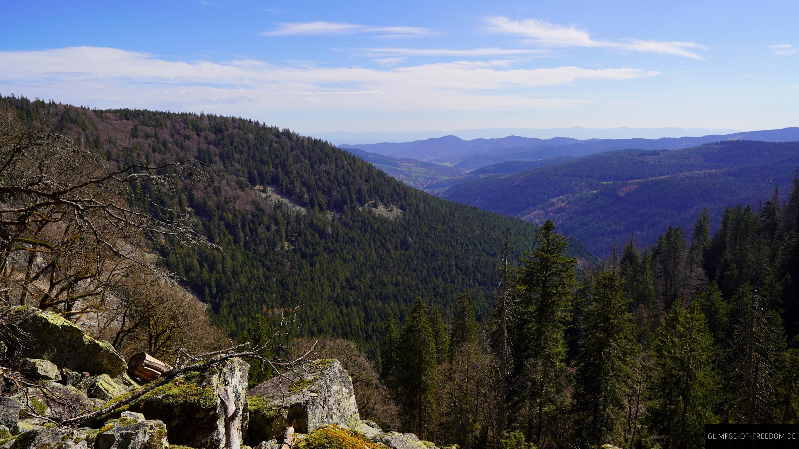 Ausblick ueber den Elsas Wald Ausblick ueber den Elsas Wald
