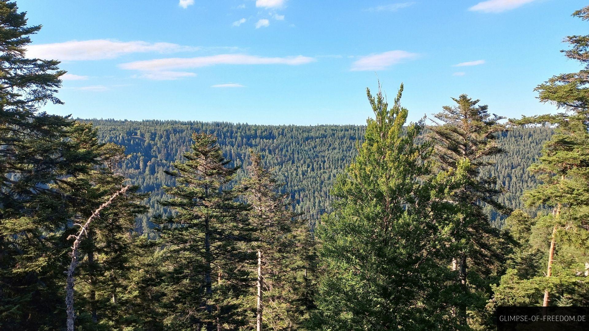 Ausblick ueber den Nordschwarzwald Ausblick über den Nordschwarzwald