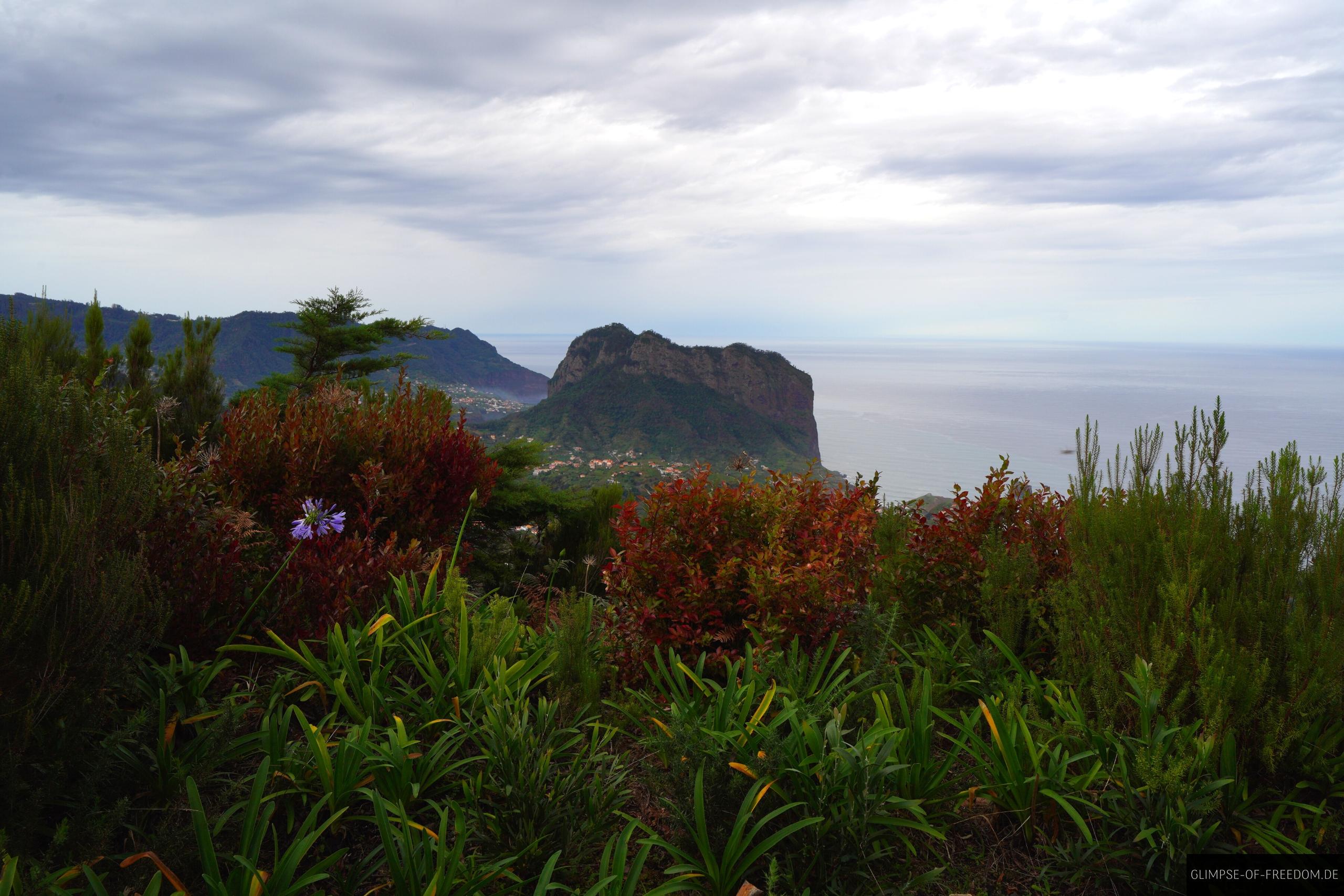 Ausblick und Pflanzen am Miradouro da Portela Madeira Ausblick und Pflanzen am Miradouro da Portela Madeira