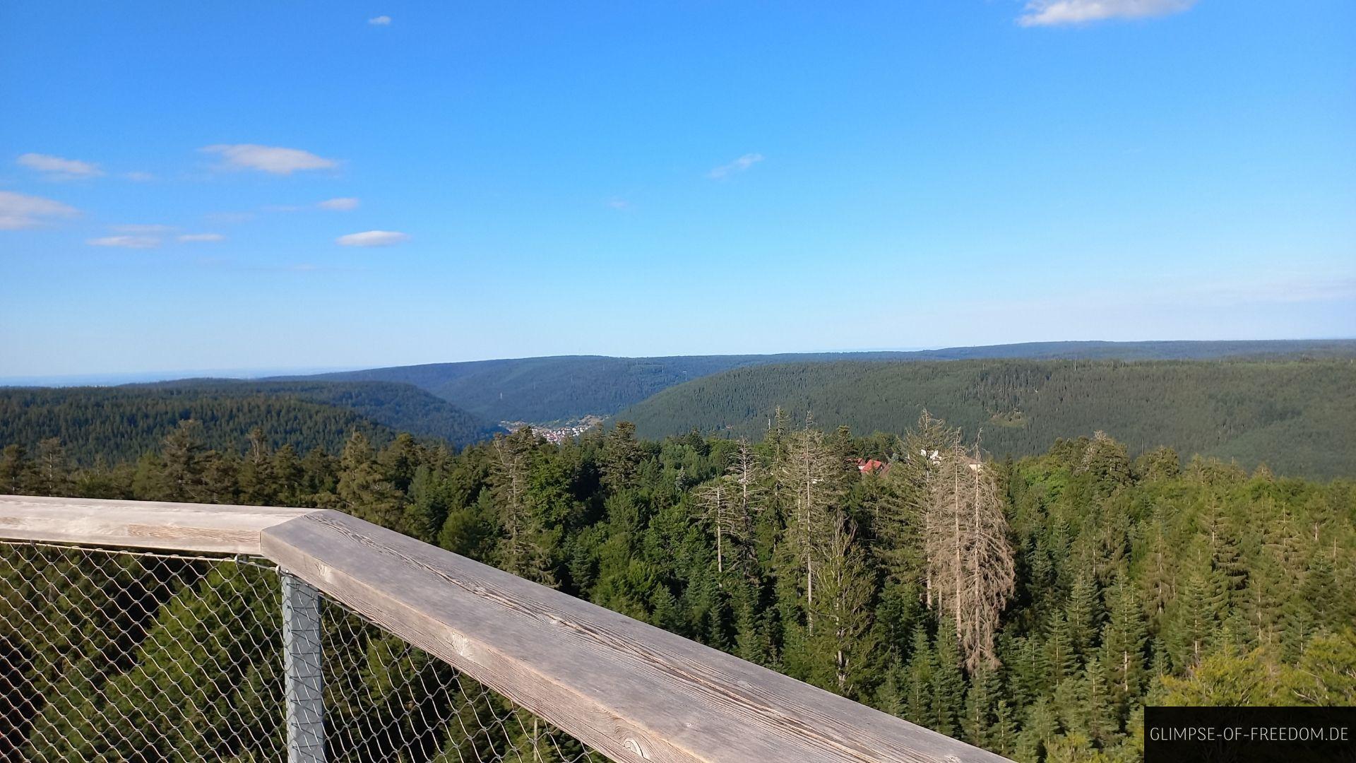 Ausblick vom Baumwitpfelpfad Aussichtsturm Ausblick vom Baumwipfelpfad Aussichtsturm