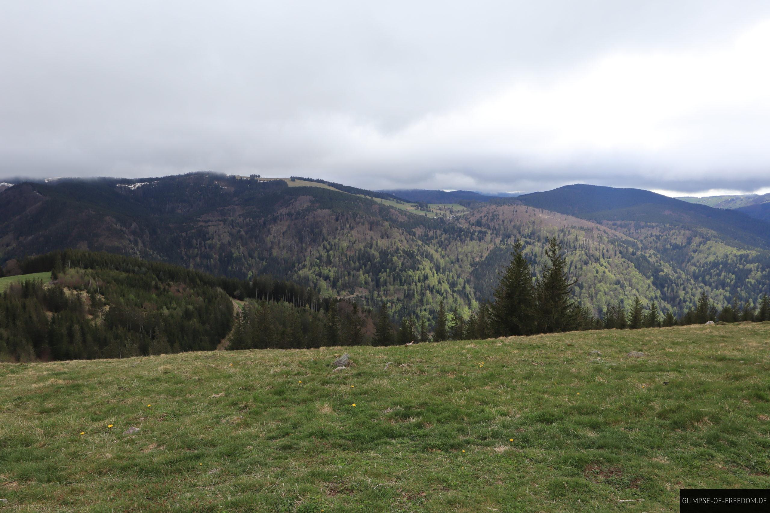 Ausblick vom Hinterwaldkopf Gipfel