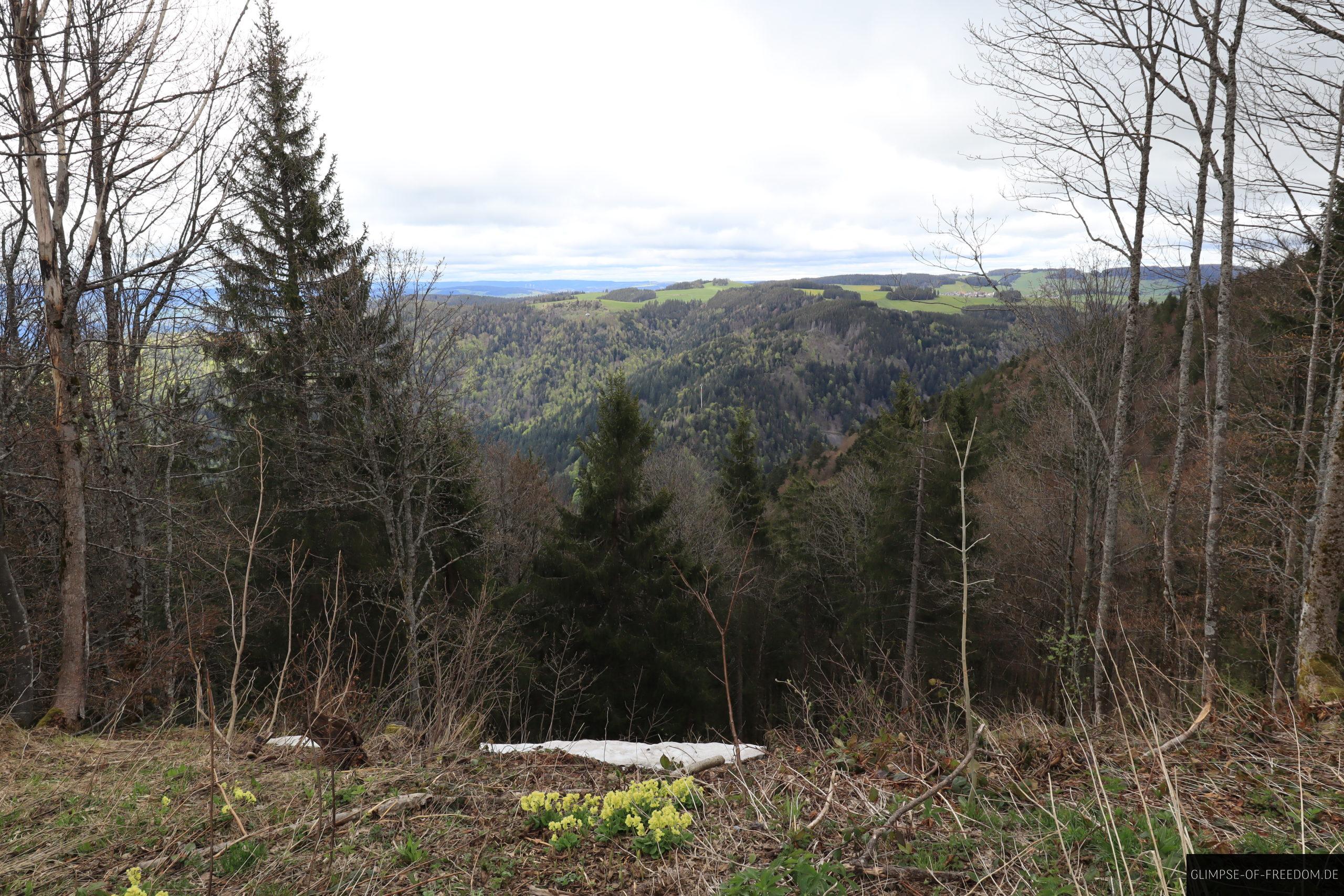 Ausblick vom Hinterwaldkopf Sattel