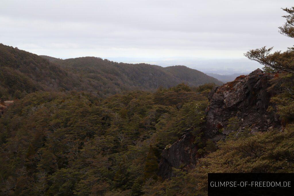 Ausblick von den Mangawhero Falls