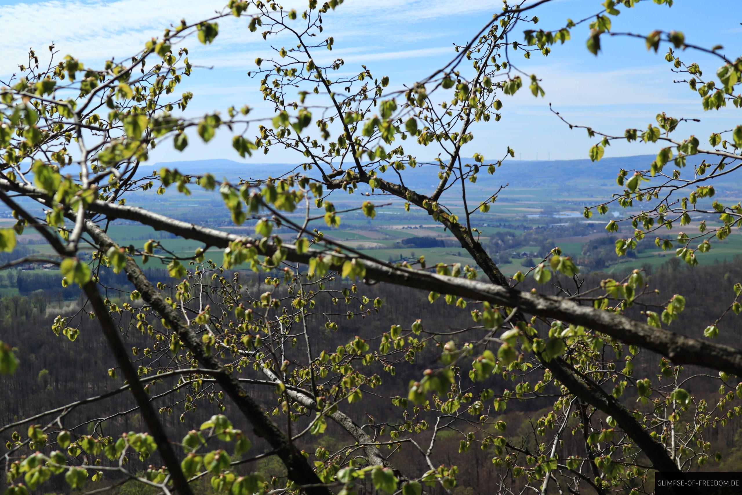 Ausblick von den Wegen entlang der Klippen am Hohenstein scaled Ausblick von den Wegen entlang der Klippen am Hohenstein