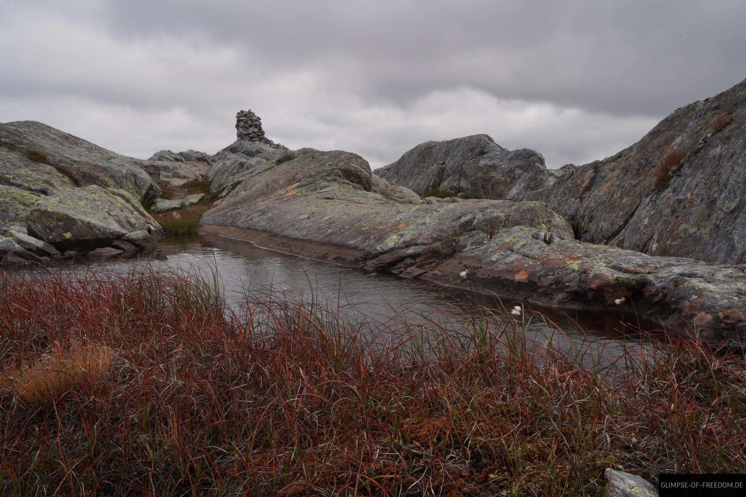 Aussergewoehnliche Natur auf dem Reinanuten Odda scaled Ausßrgewöhnliche Natur auf dem Reinanuten bei Odda