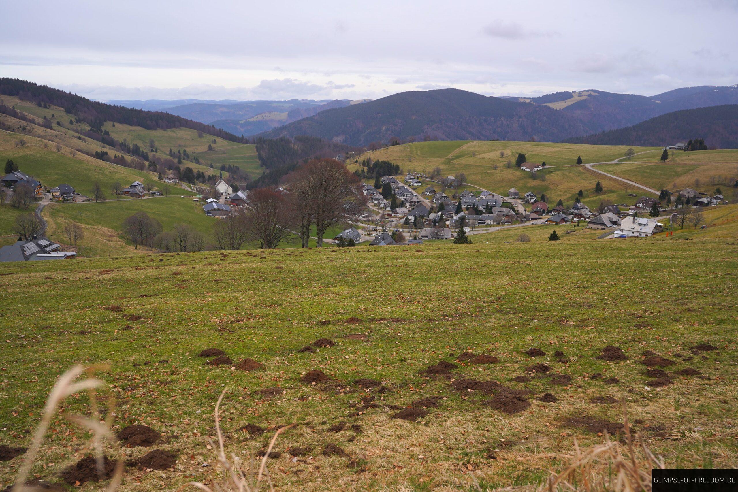 Aussicht auf Hofsgrund vom Hotel Halde scaled Aussicht auf Hofsgrund vom Hotel Halde