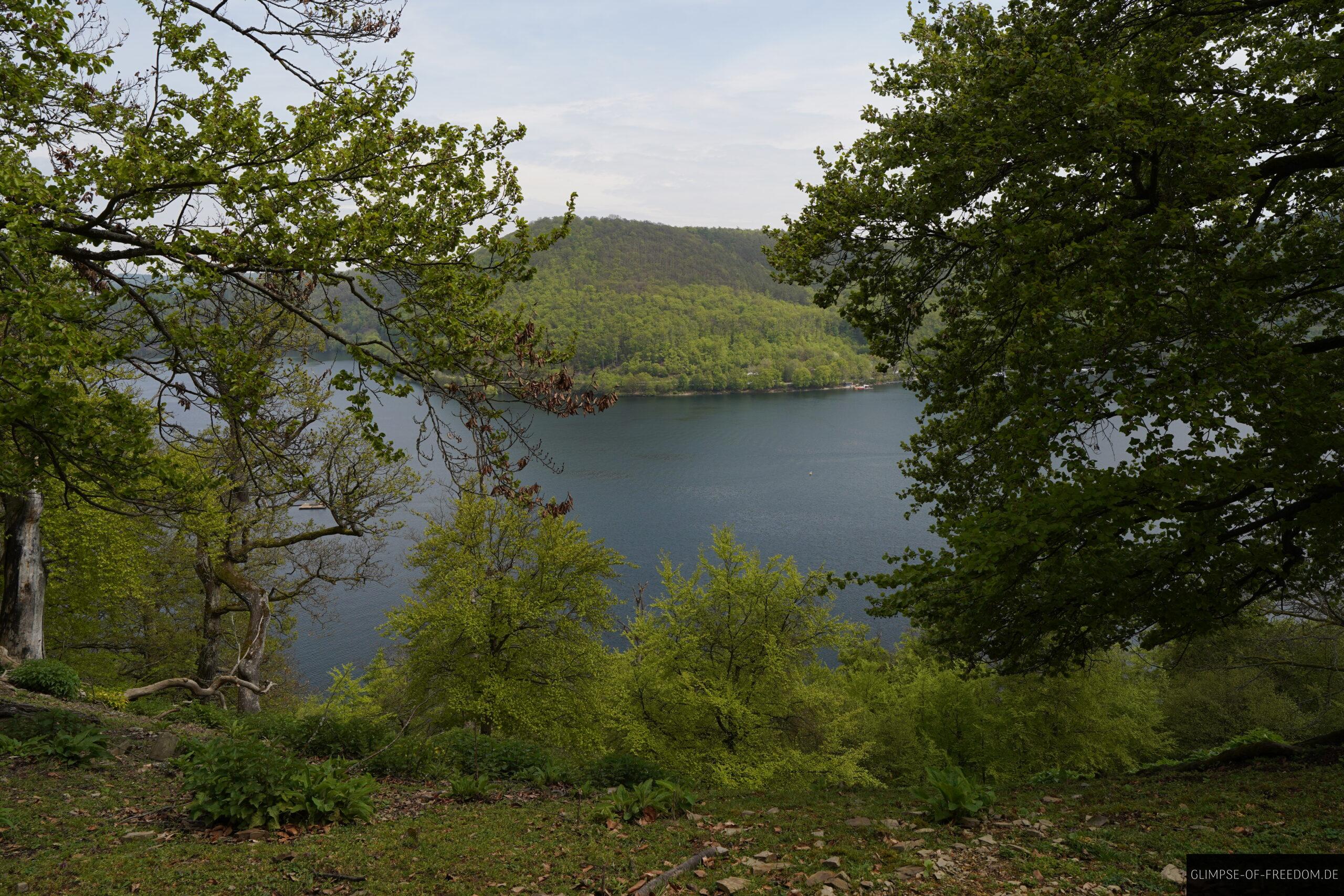 Aussicht auf den See vom Wildpark aus scaled Aussicht auf den See vom Wildpark aus