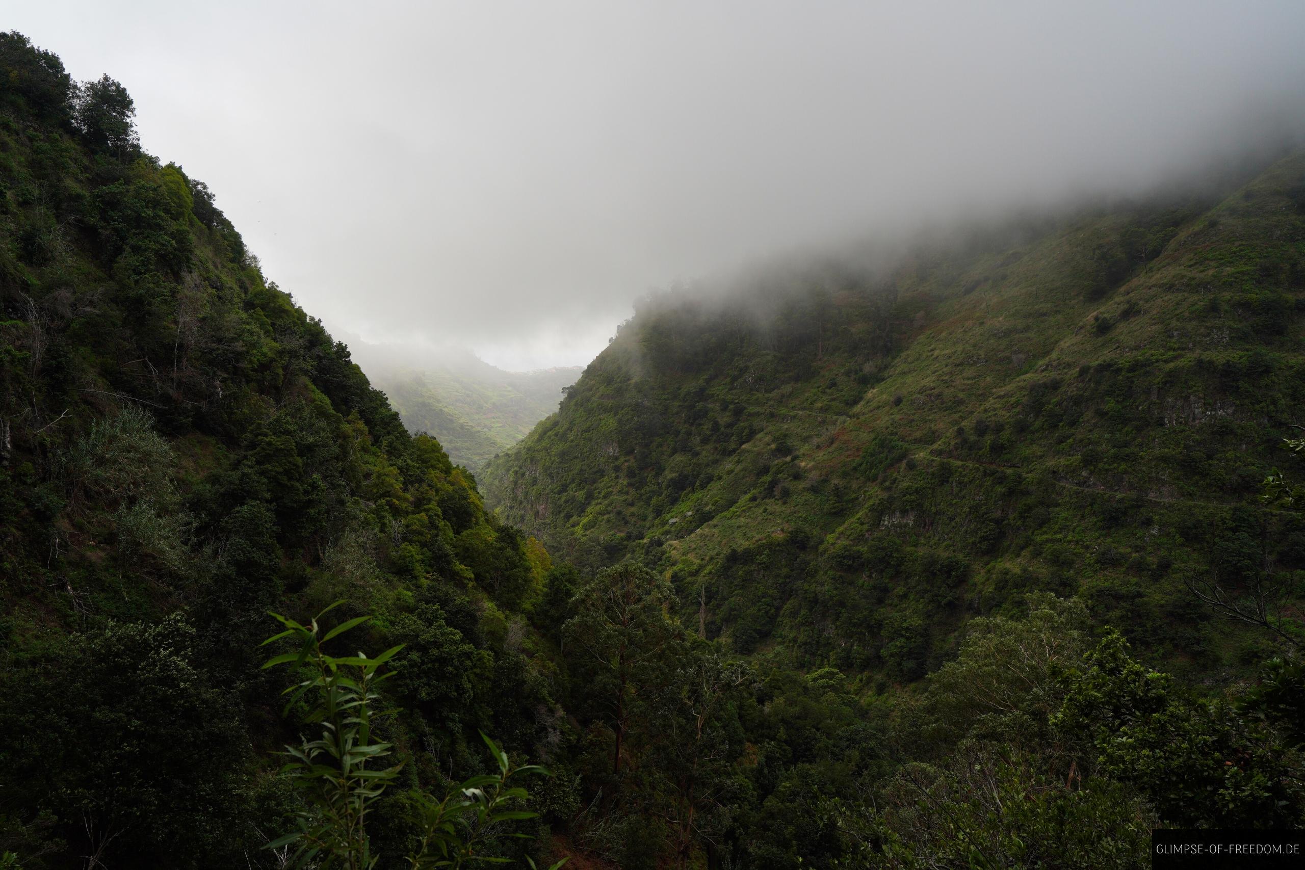 Aussicht durch das neblige Tal auf Madeira
