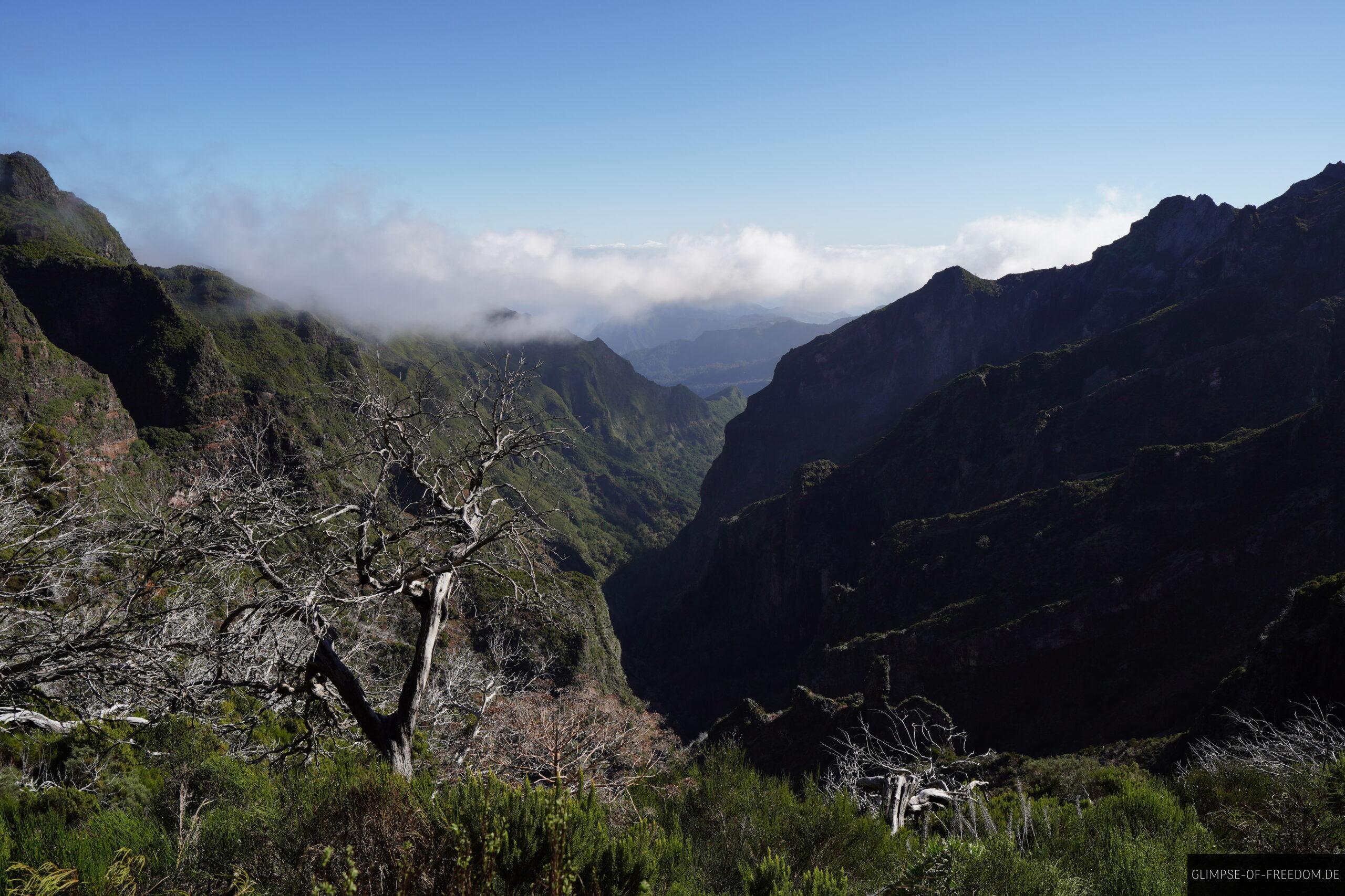 Aussicht ins Schmale Tal scaled Aussicht ins Schmale Tal
