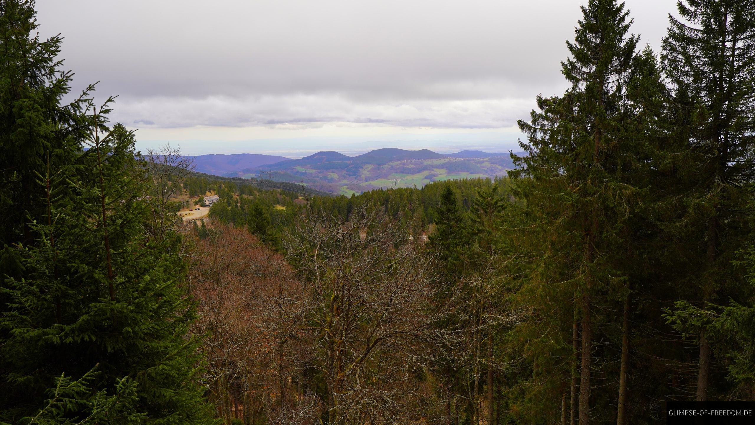 Aussicht ueber das Elsas Waldgebiet Aussicht über das Elsas Waldgebiet