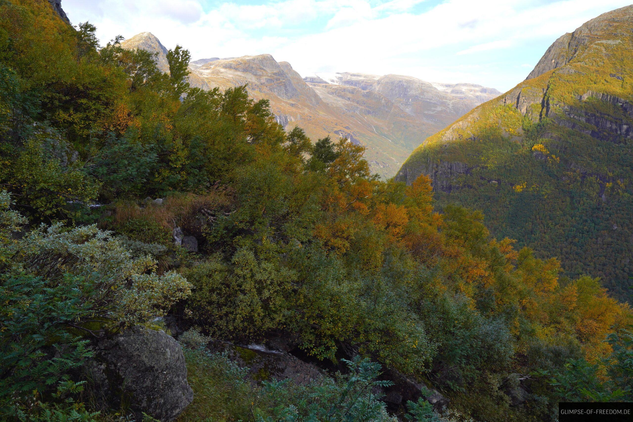 Aussicht ueber den herbstlichen Berghang scaled Aussicht über den herbstlichen Berghang