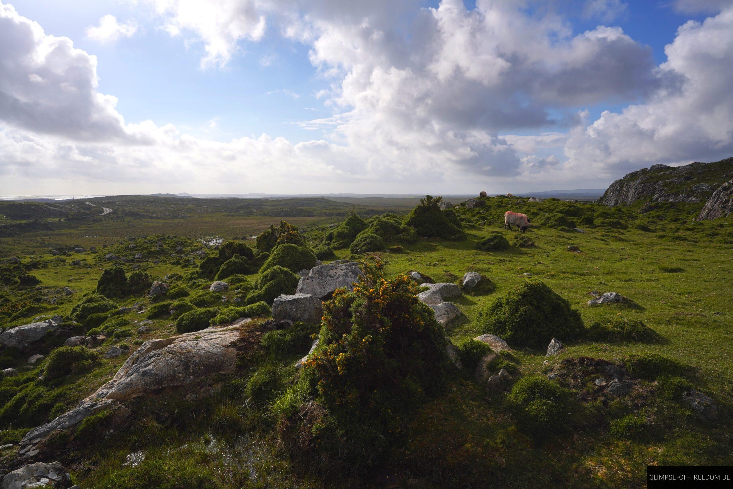 Aussicht ueber die Gruene Landschaft vom Errisbeg scaled Aussicht über die Grüne Landschaft vom Errisbeg