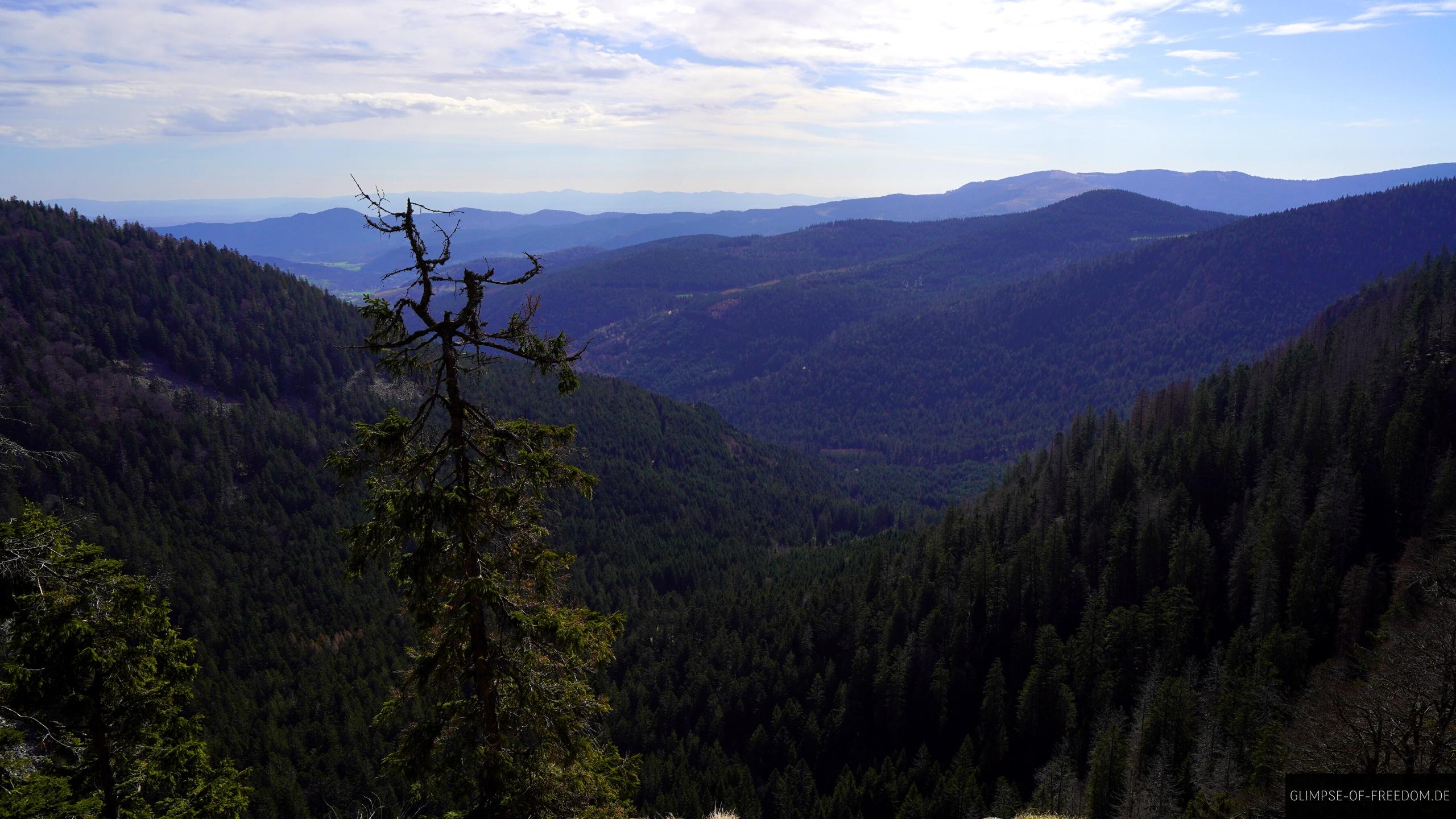 Aussicht ueber die Vogesen vom Sentier des Roches Aussicht ueber die Vogesen vom Sentier des Roches