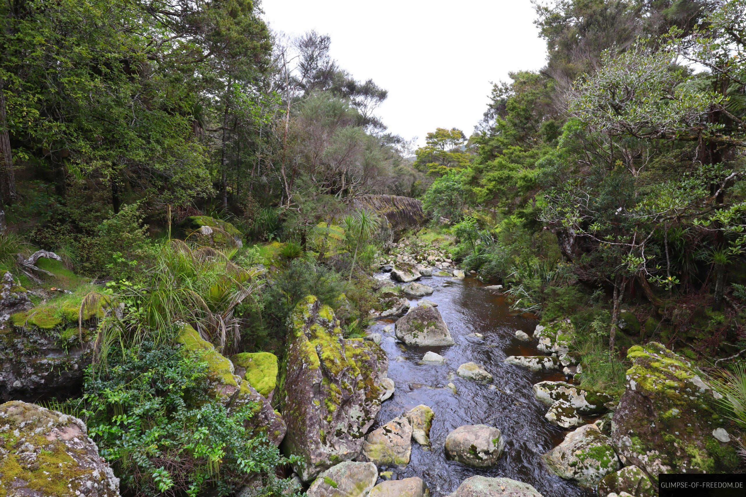Aussicht ueber die Wairere Natur scaled Aussicht über die Wairere Natur