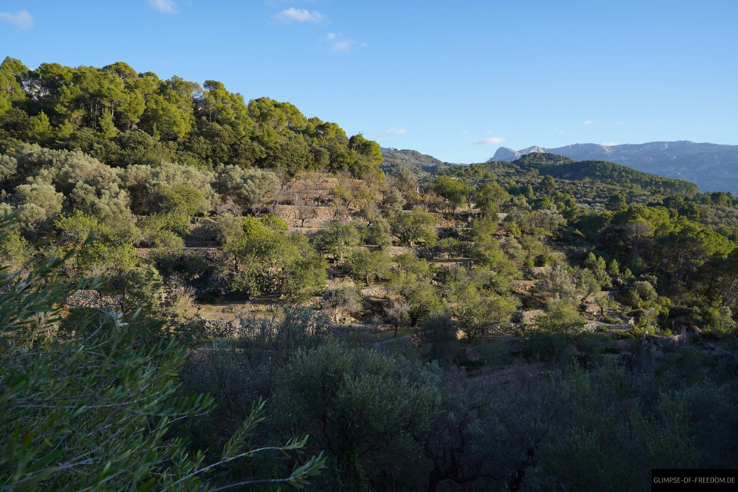Aussicht ueber die mallorquinische Natur scaled Aussicht über die mallorquinische Natur