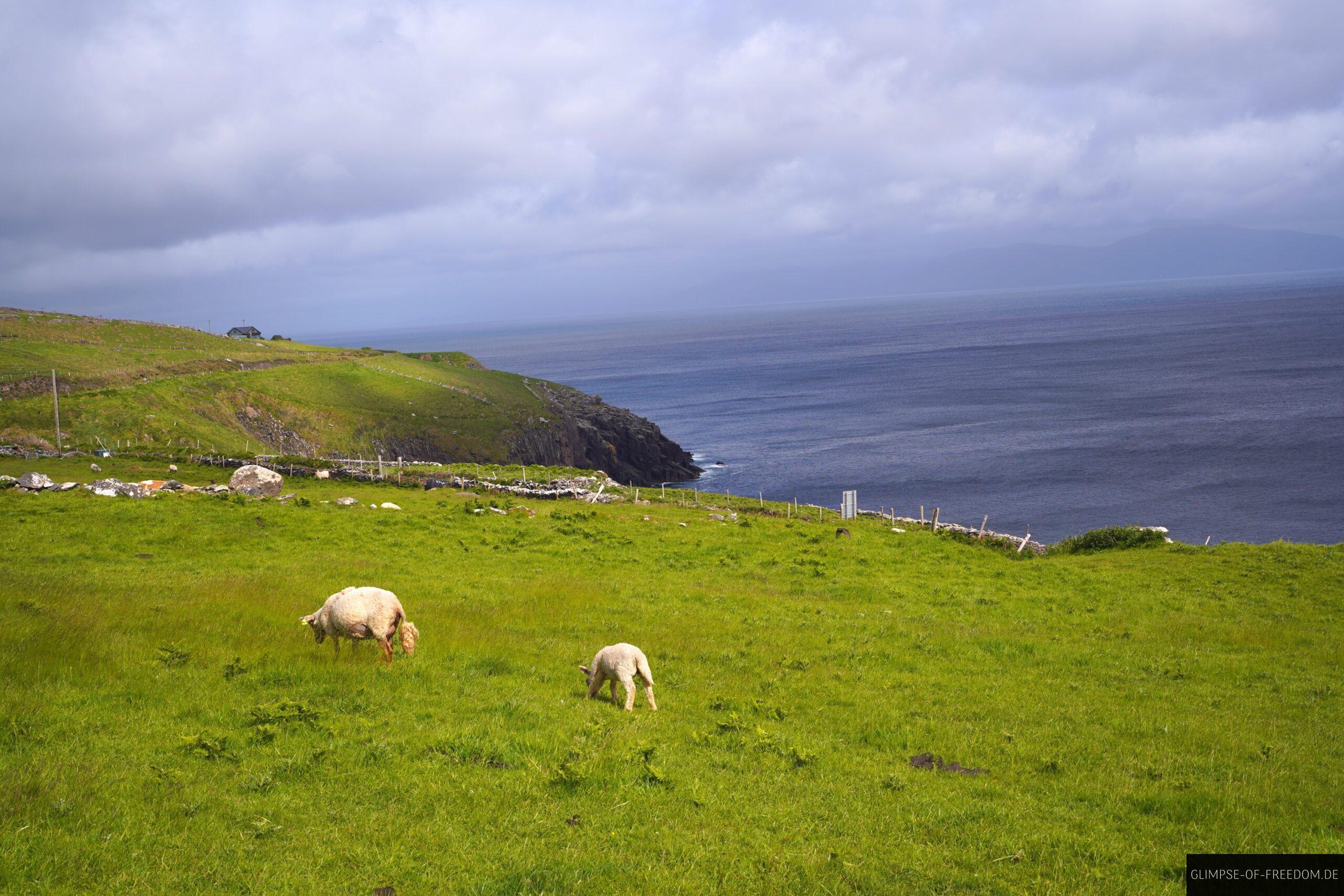 Aussicht vom Cashel Murphy scaled Aussicht vom Cashel Murphy