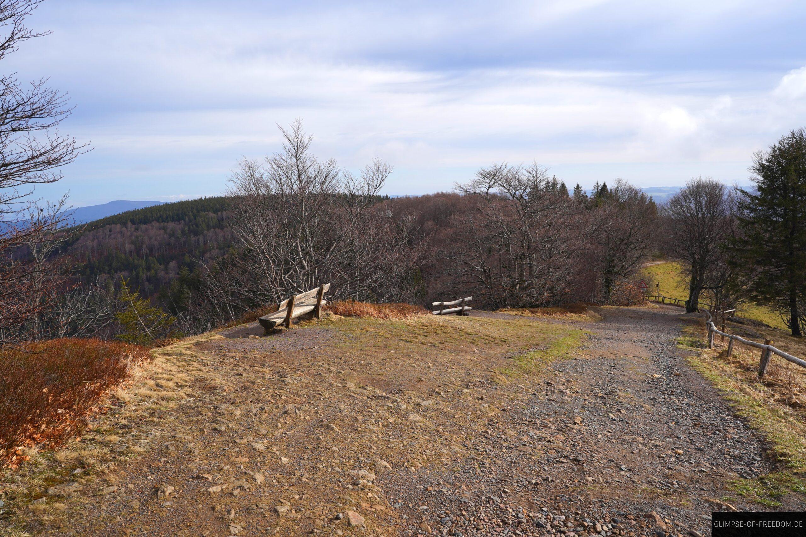 Aussichtsbaenke auf der Schauinsland Wanderung scaled Aussichtsbänke auf der Schauinsland Wanderung