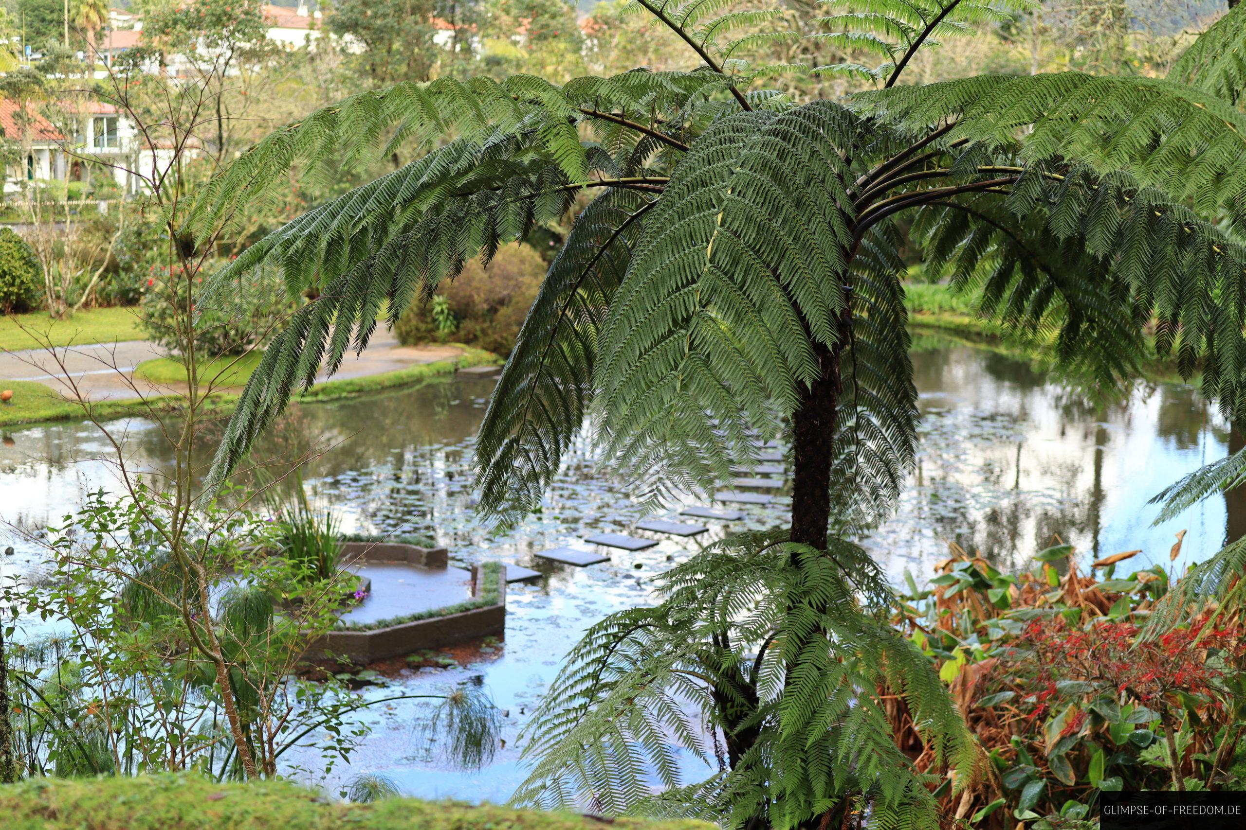 Azoren Park Seen und Pflanzen